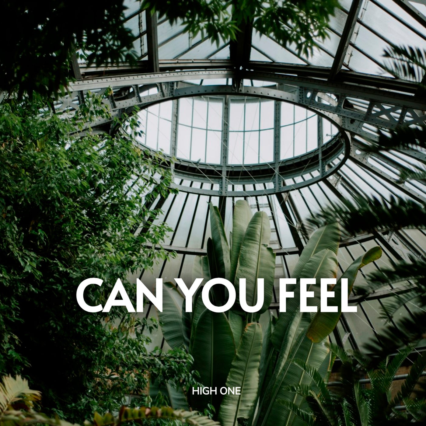 Can You Feel