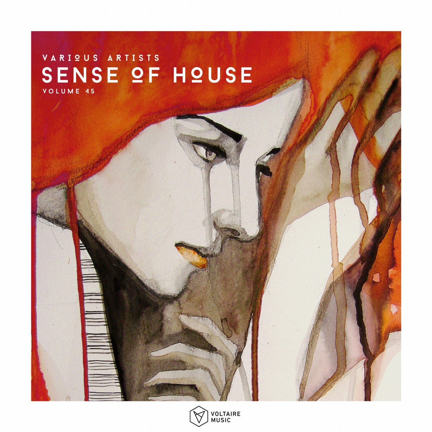 Sense Of House Vol. 45