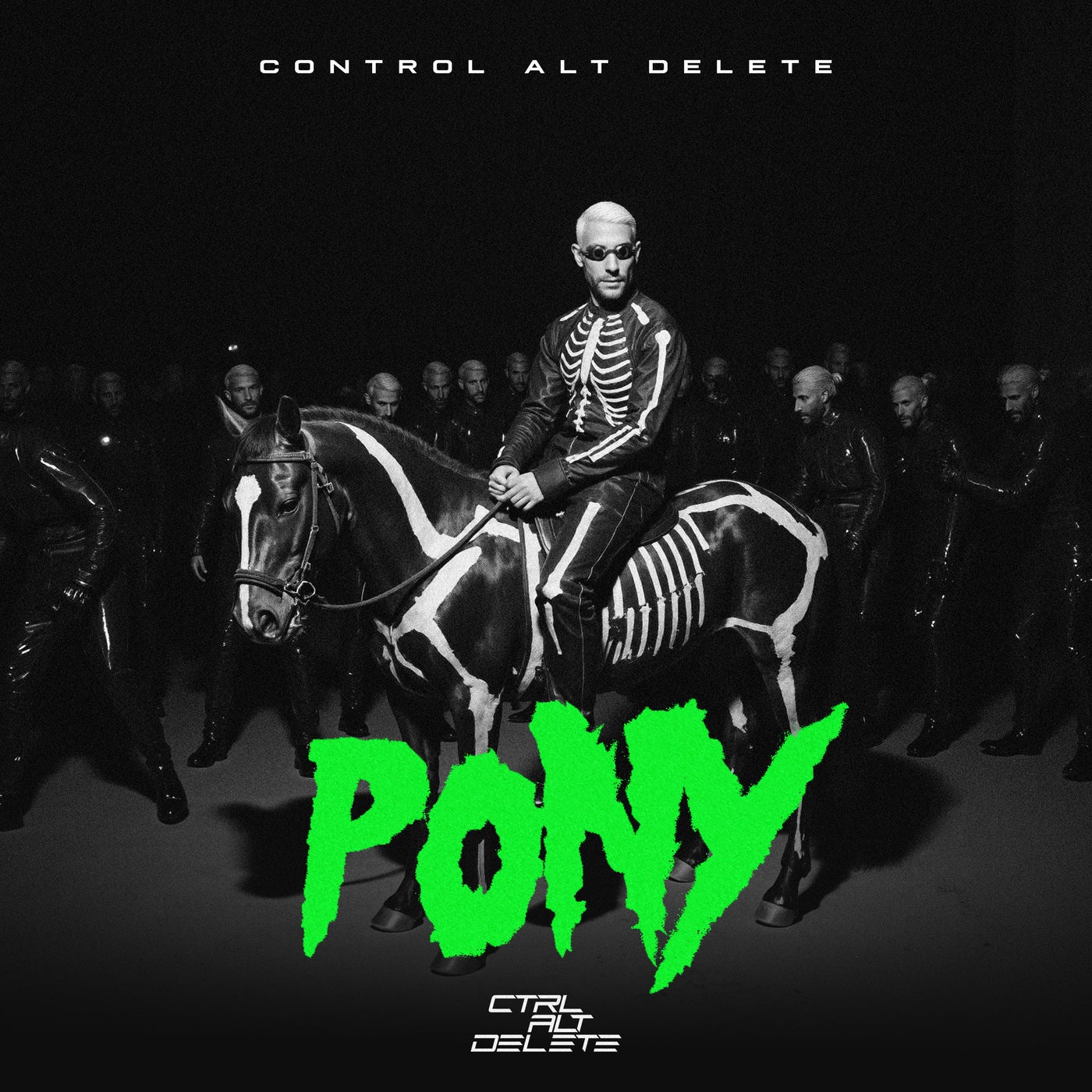 Pony