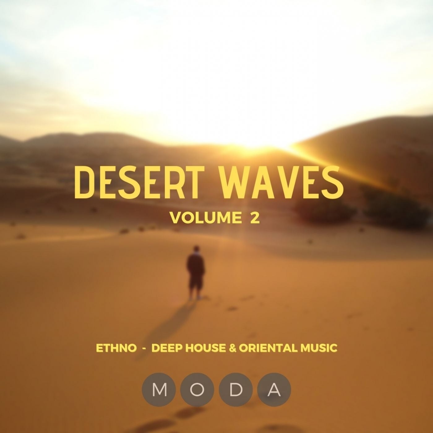 Desert Waves, Vol. 2