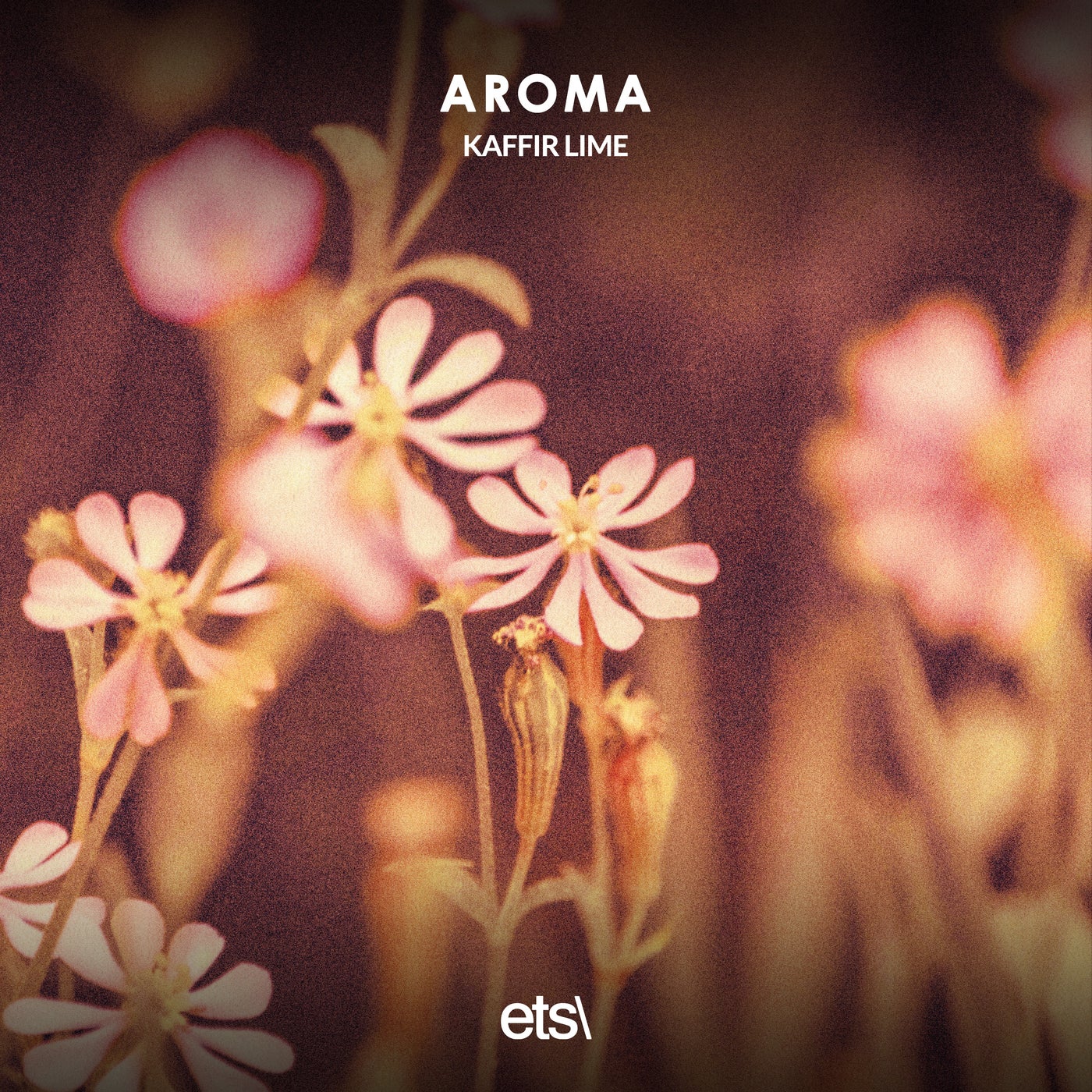 Aroma