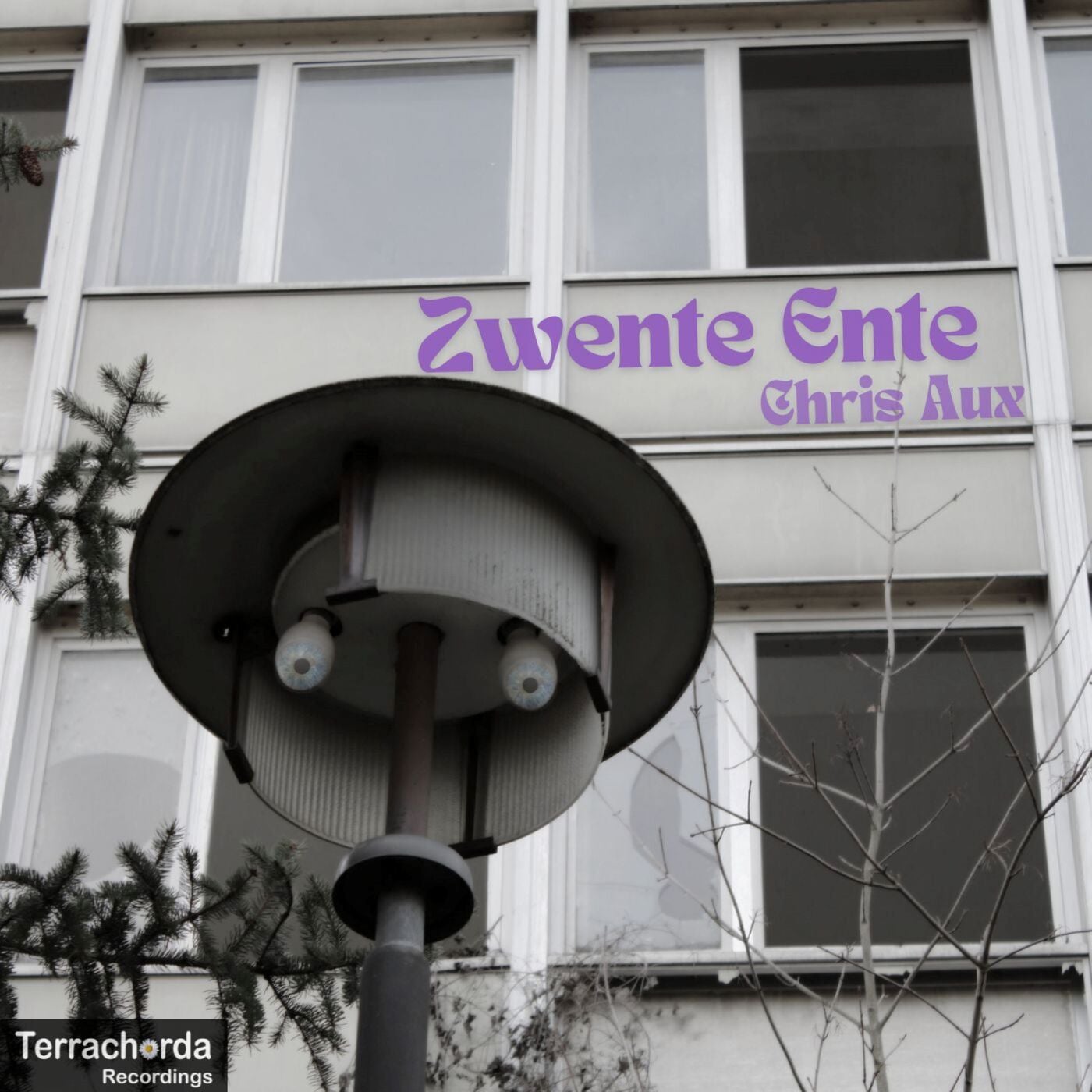 Zwente Ente