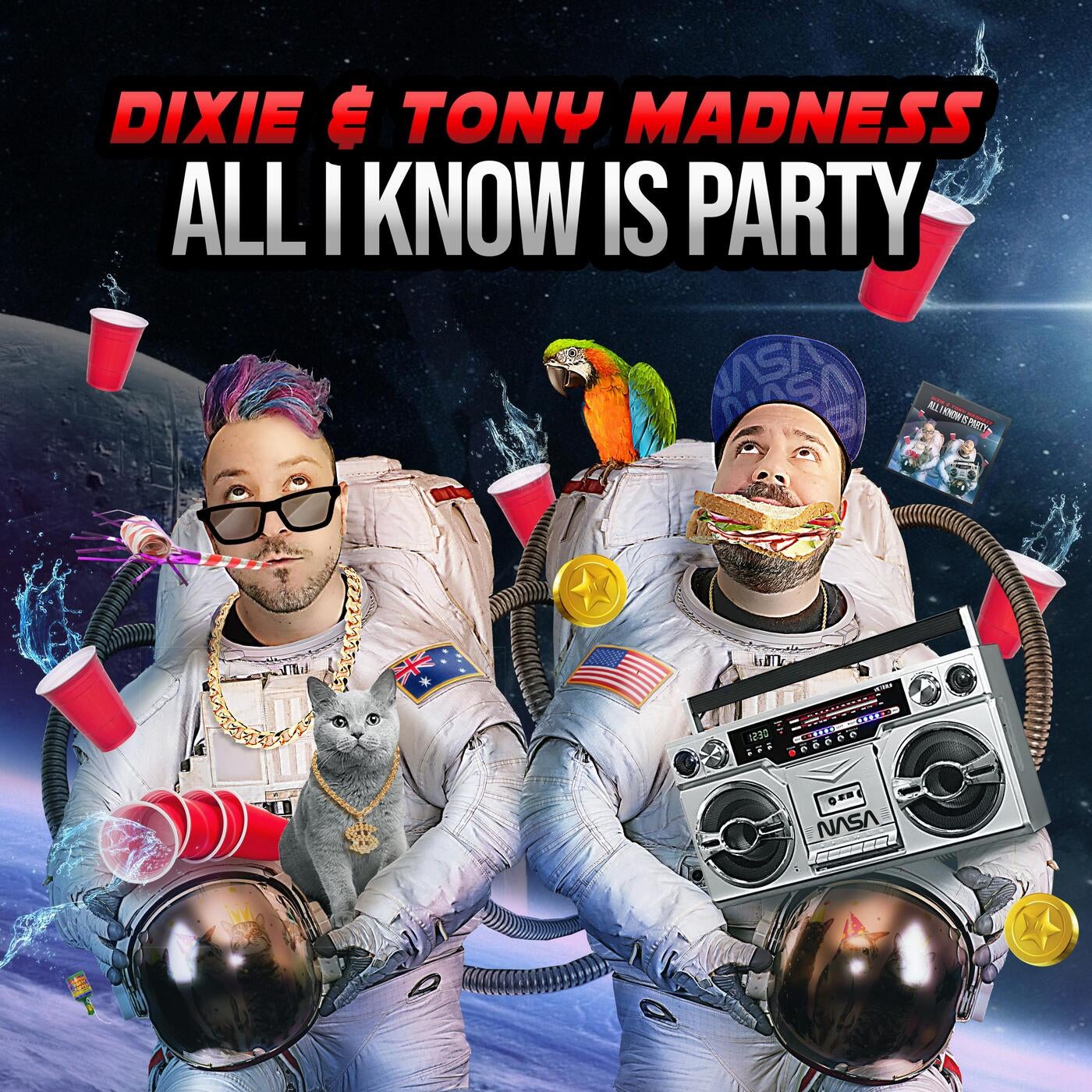 All I Know Is Party