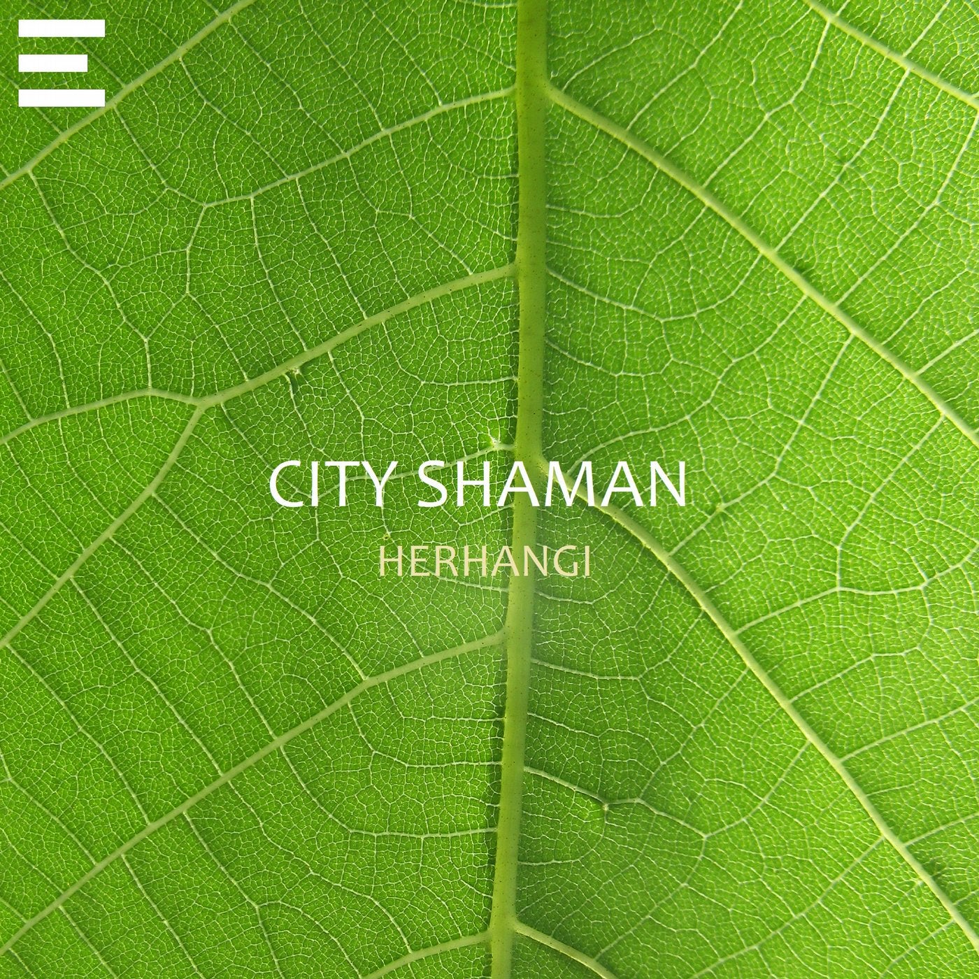 City Shaman