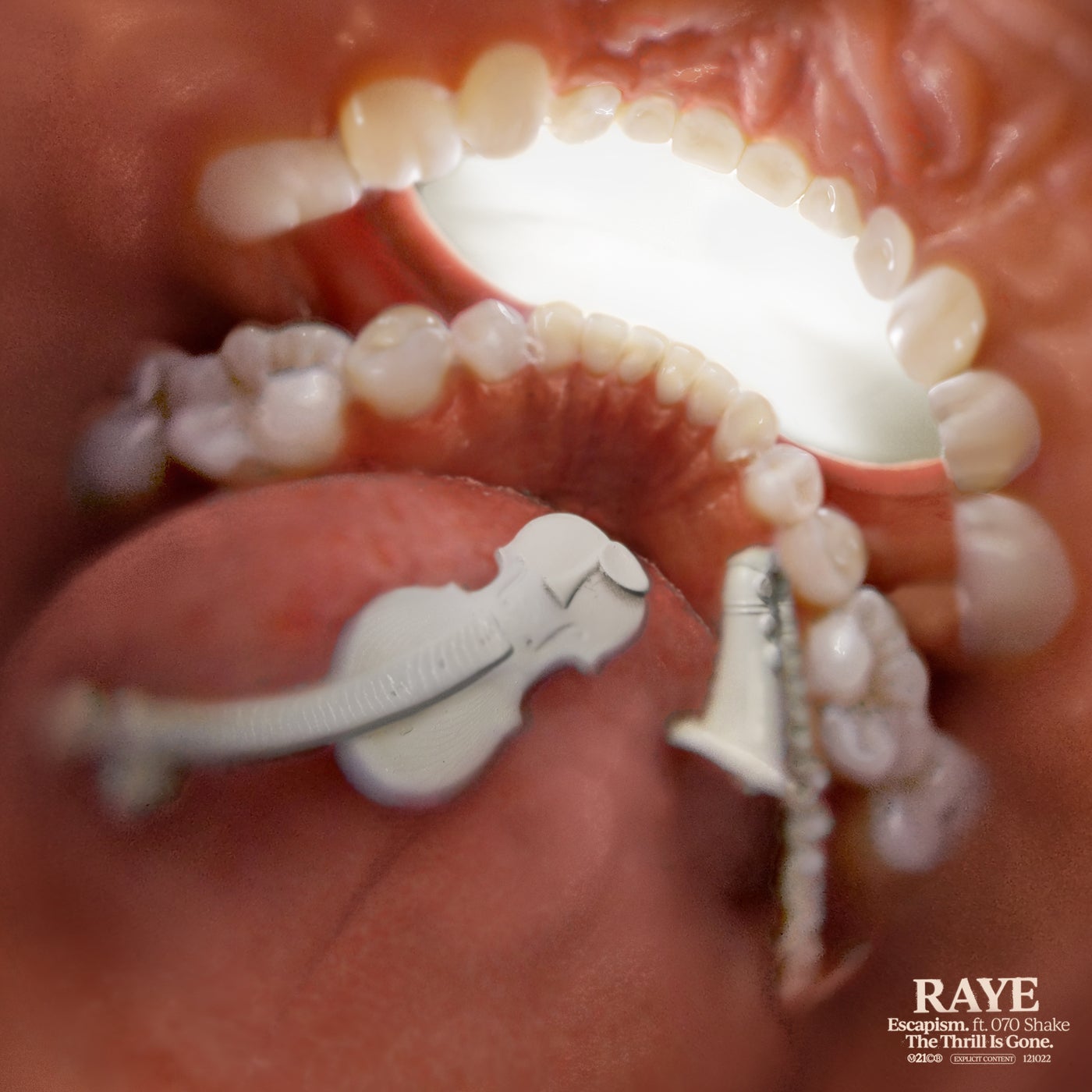 RAYE & 070 Shake - Escapism. album artwork