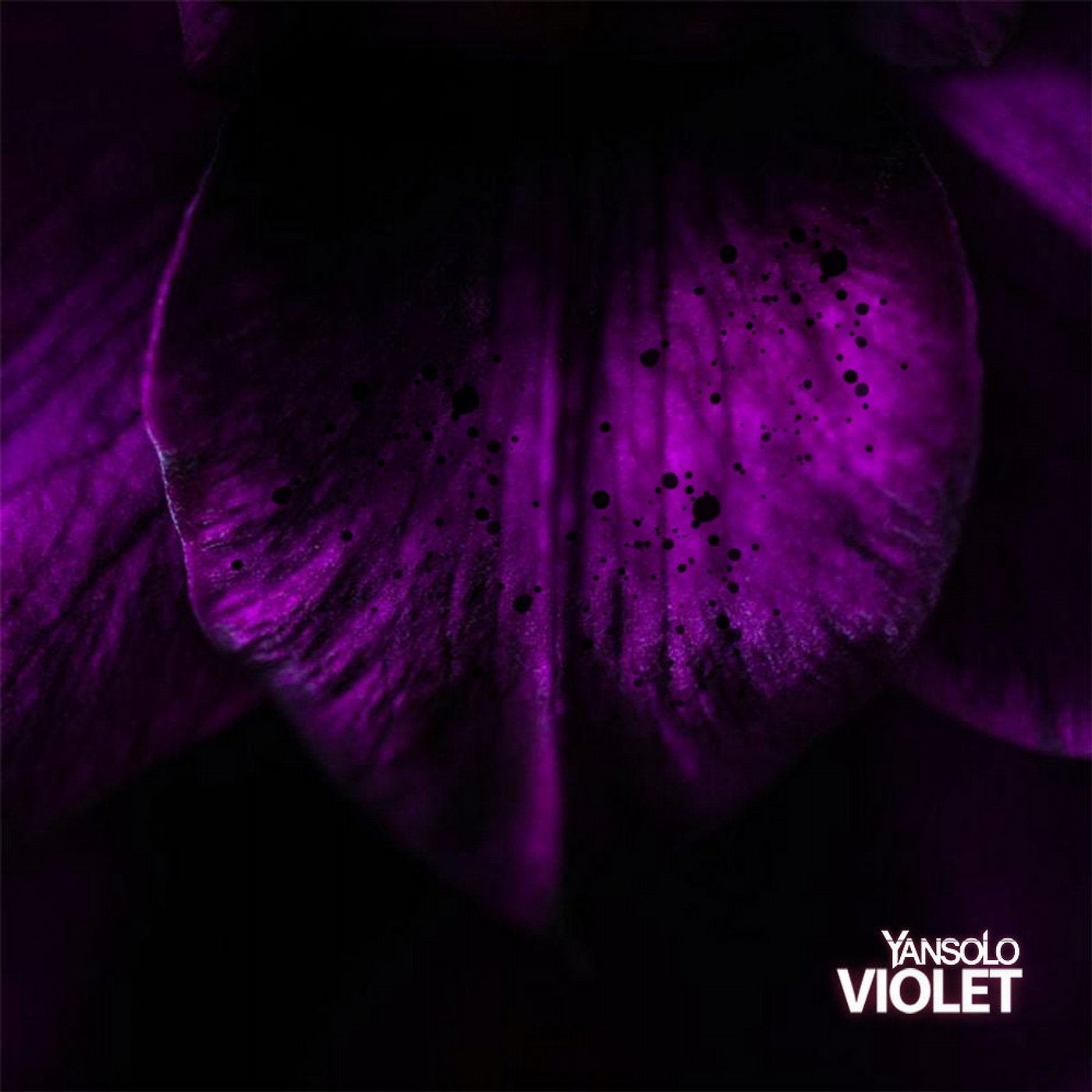 Violet