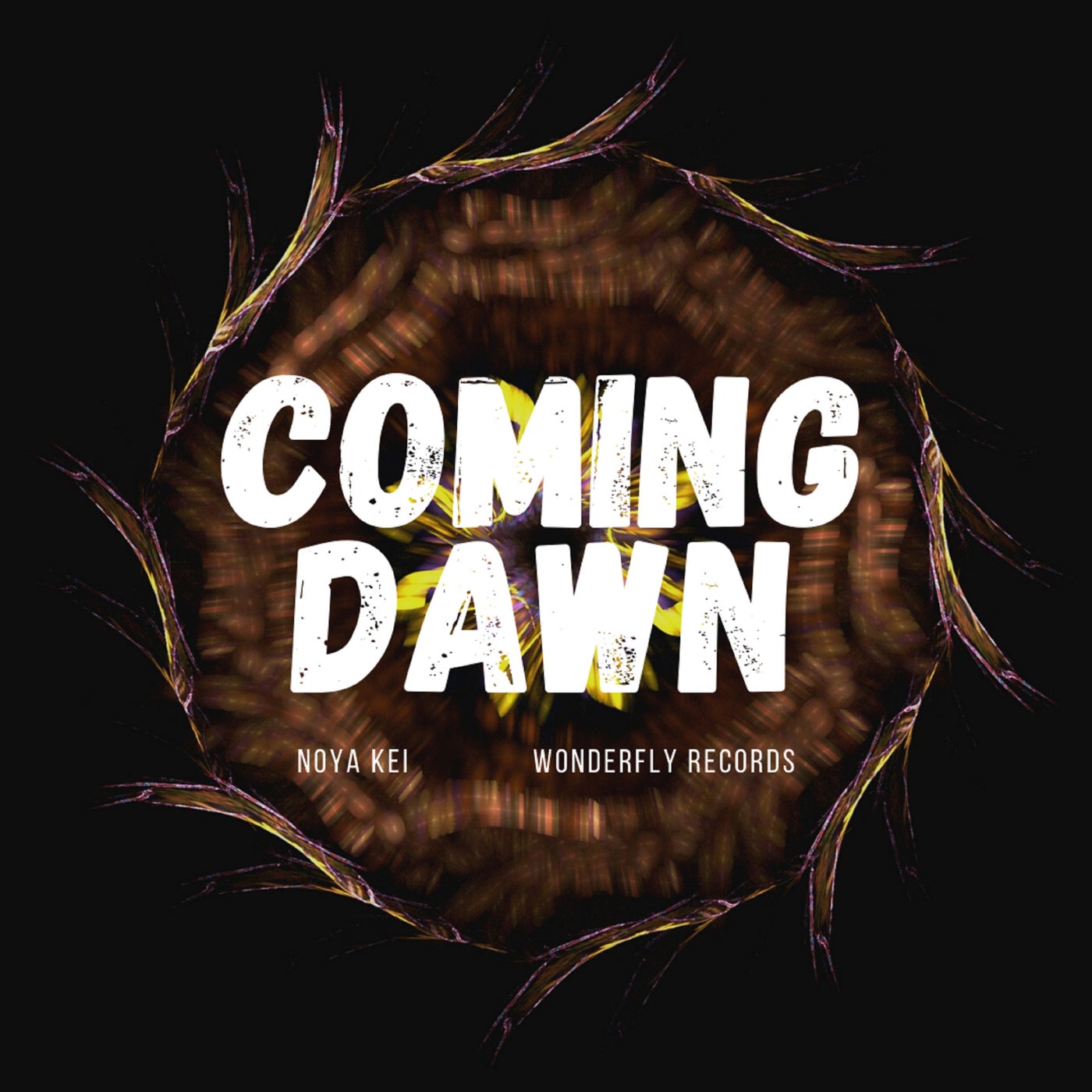 Coming Dawn