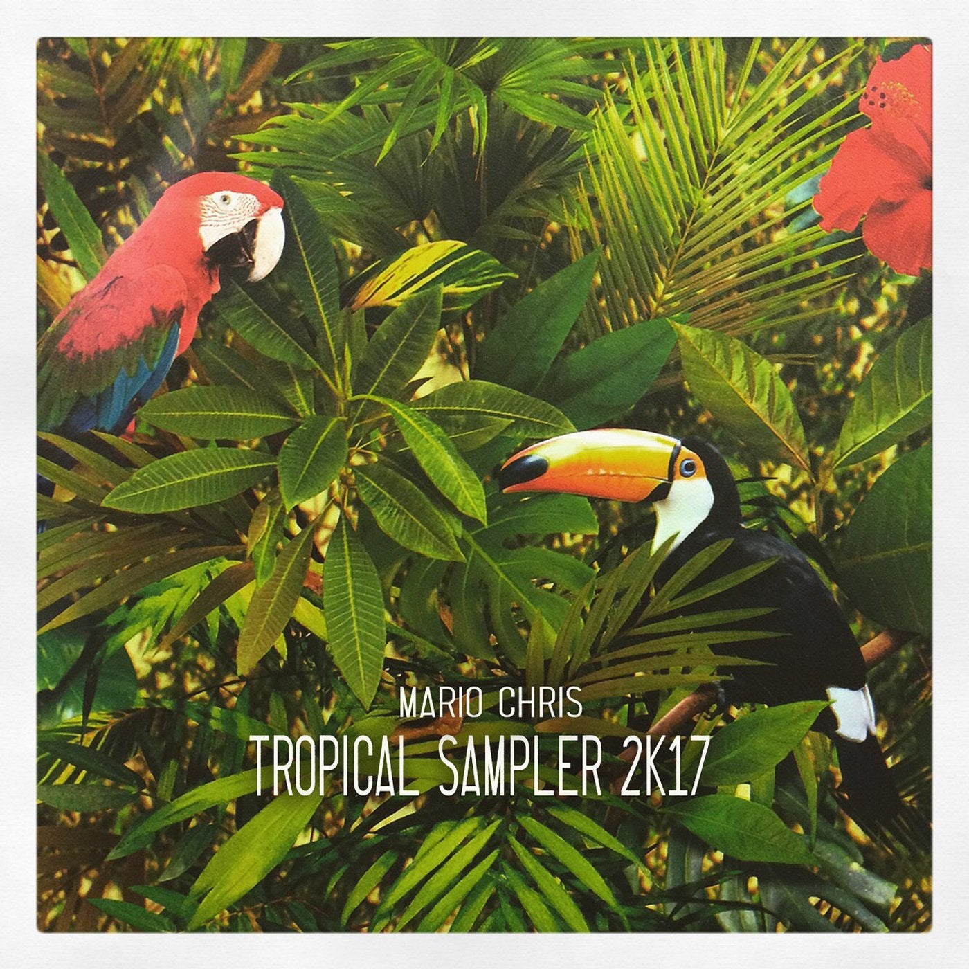 Tropical Sampler 2k17