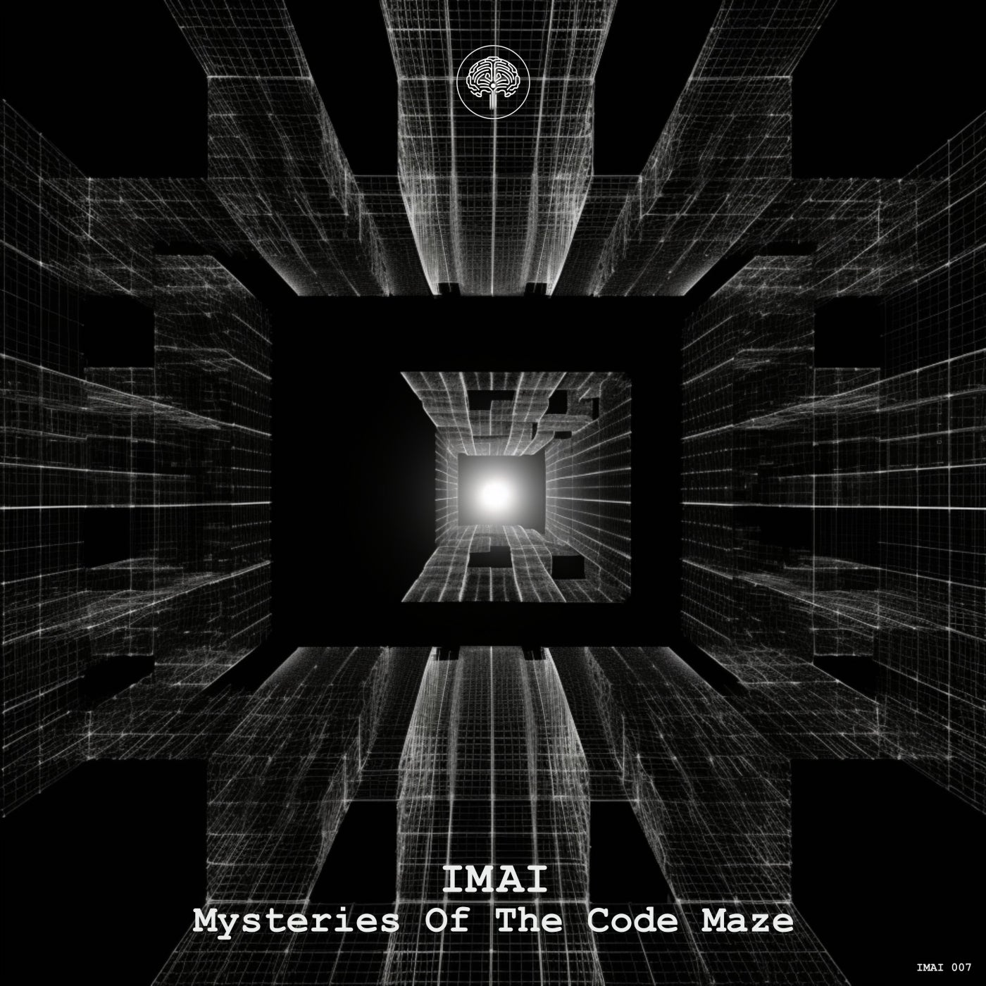 Mysteries of the Code Maze