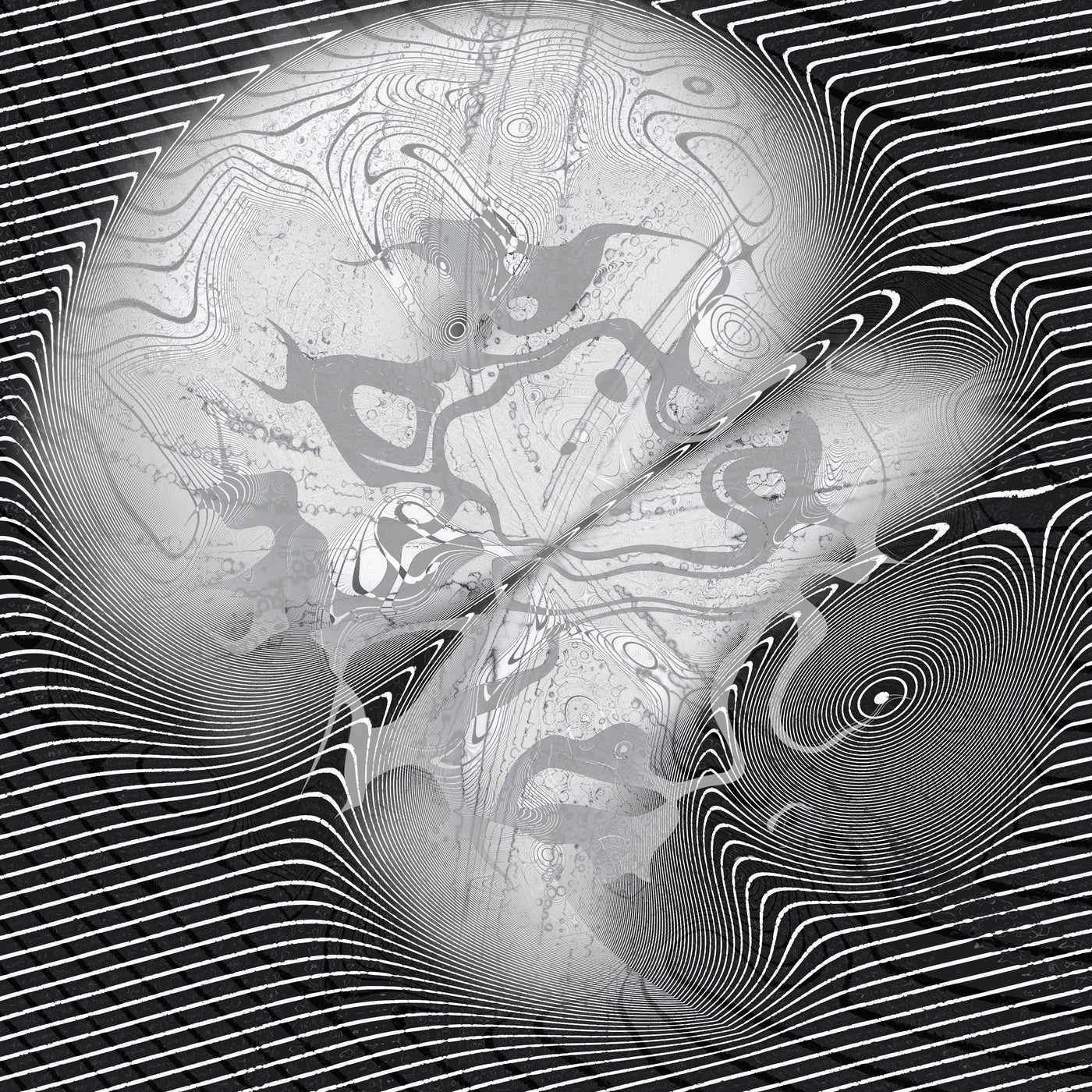 Ambifluid