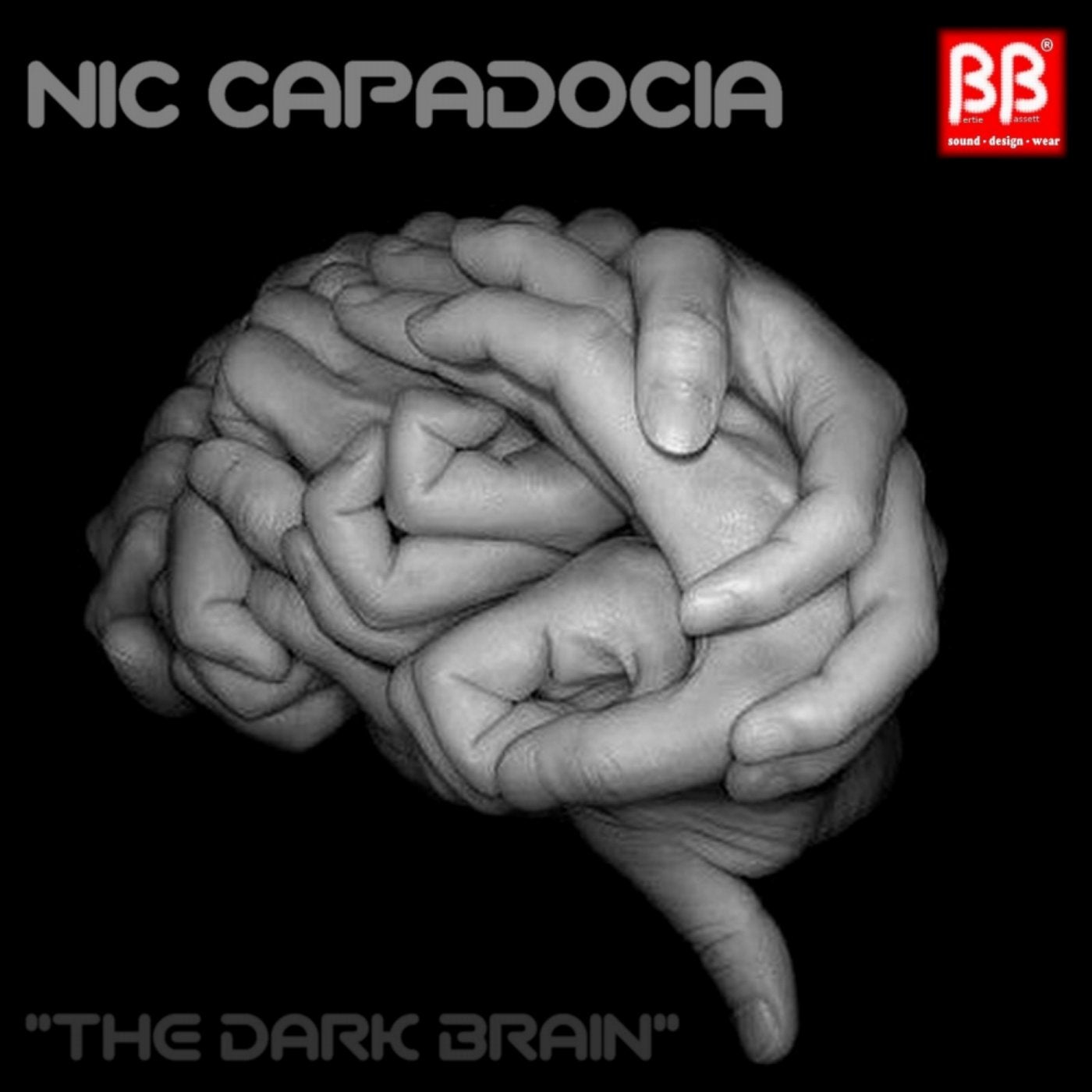 The Dark Brain
