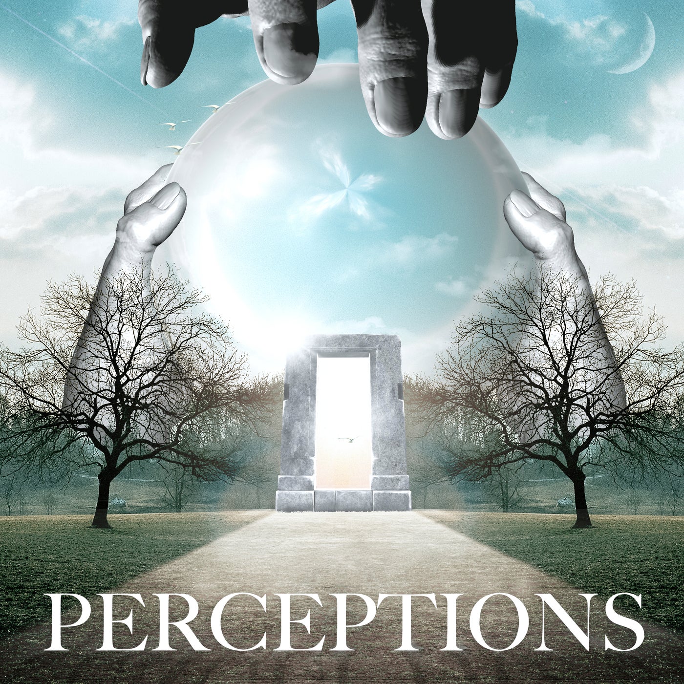 Perceptions EP