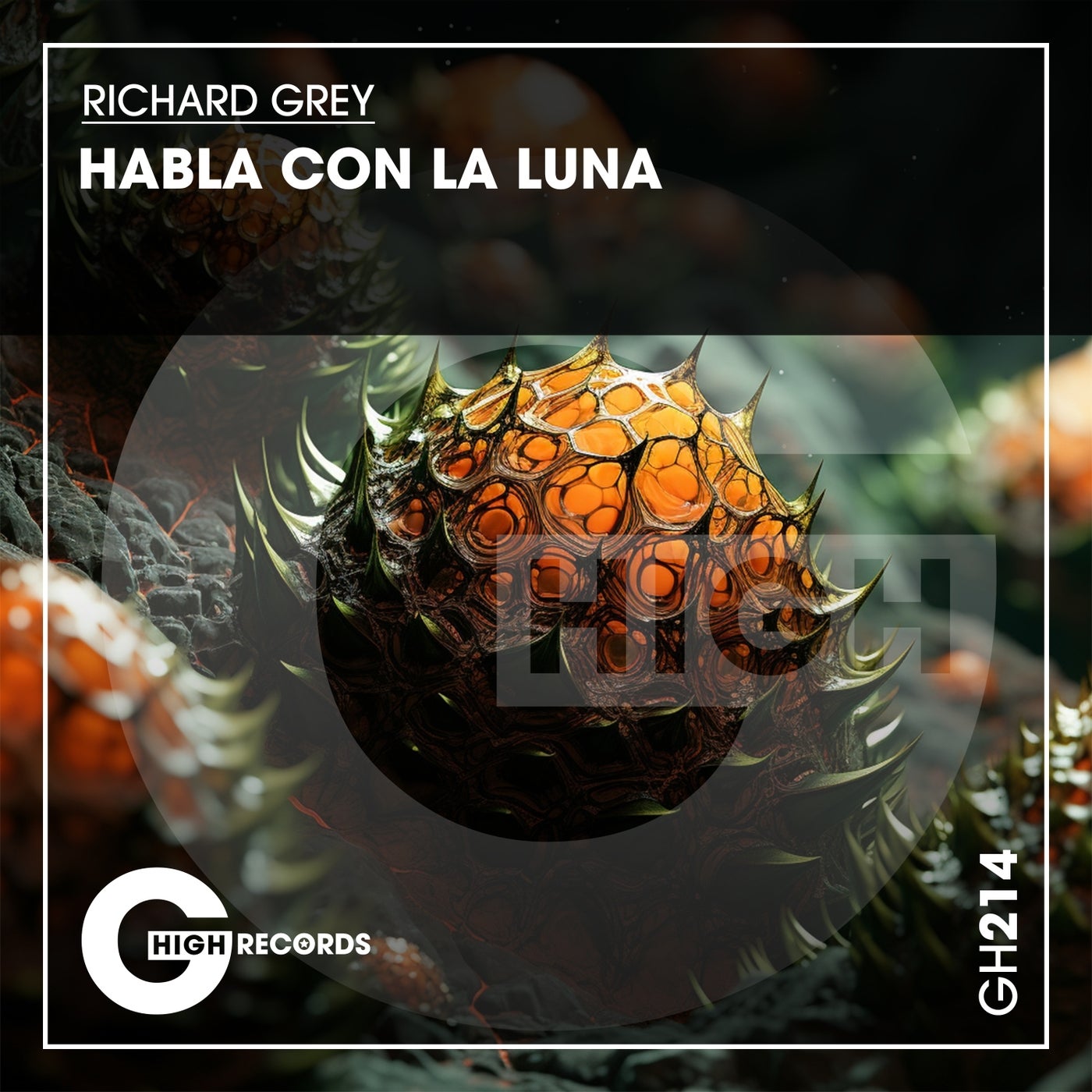 Habla Con La Luna 