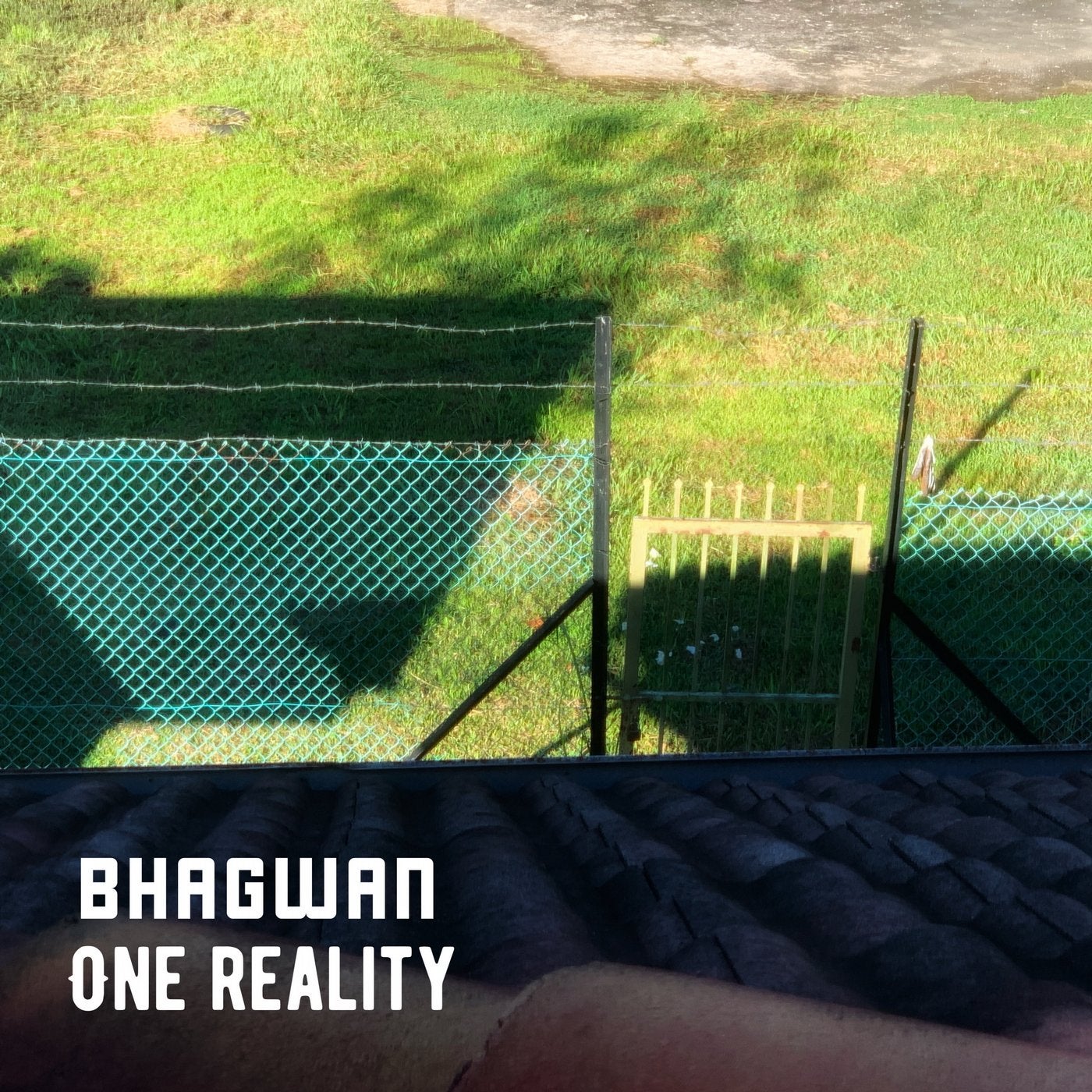 One Reality