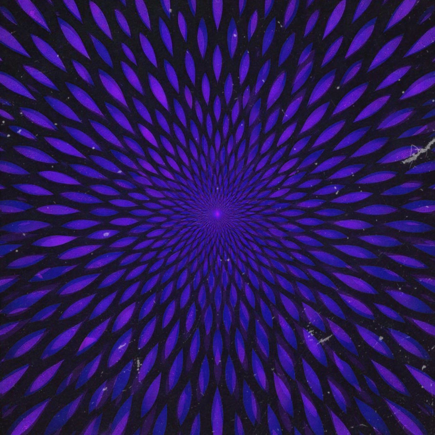 Fixed Rotation