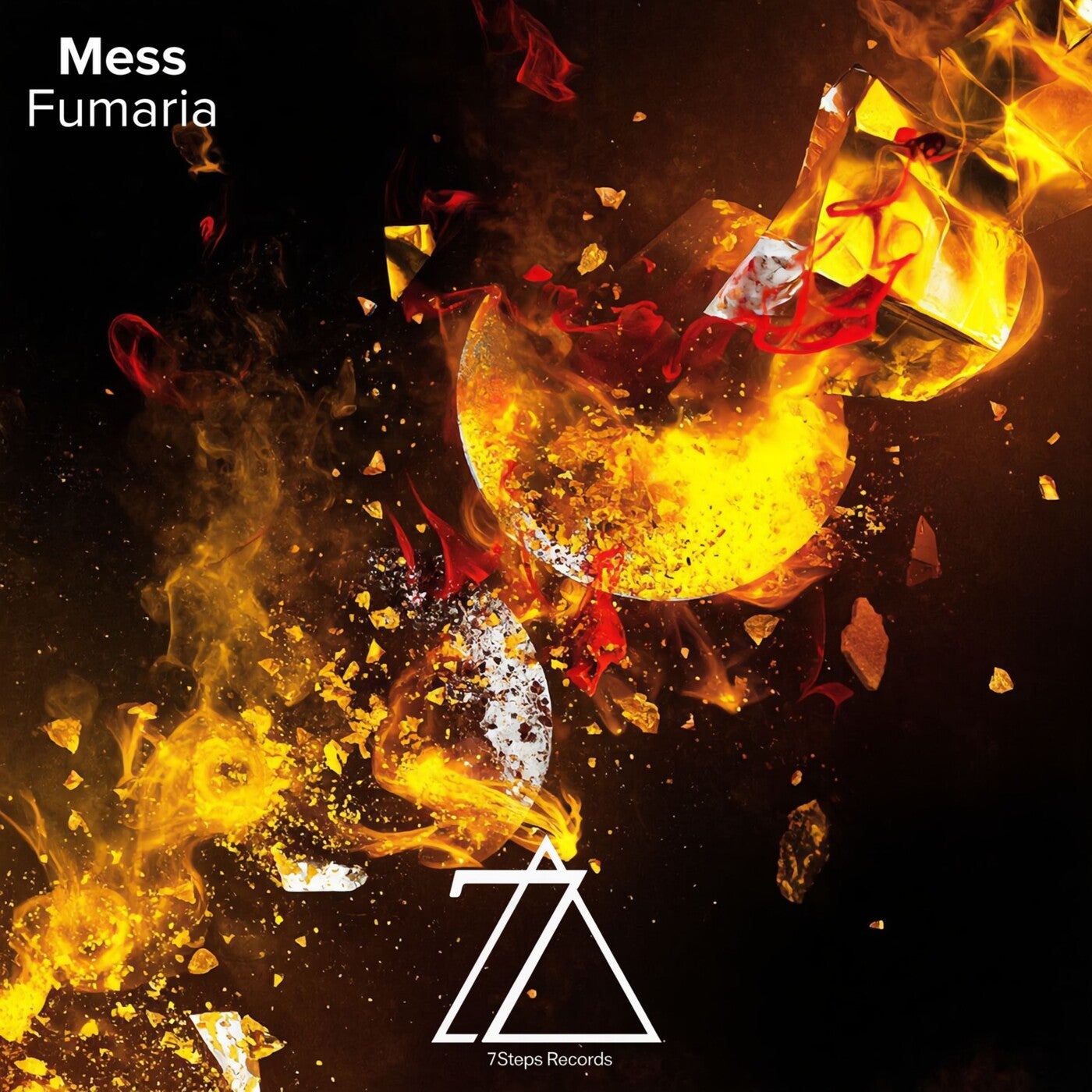 Mess