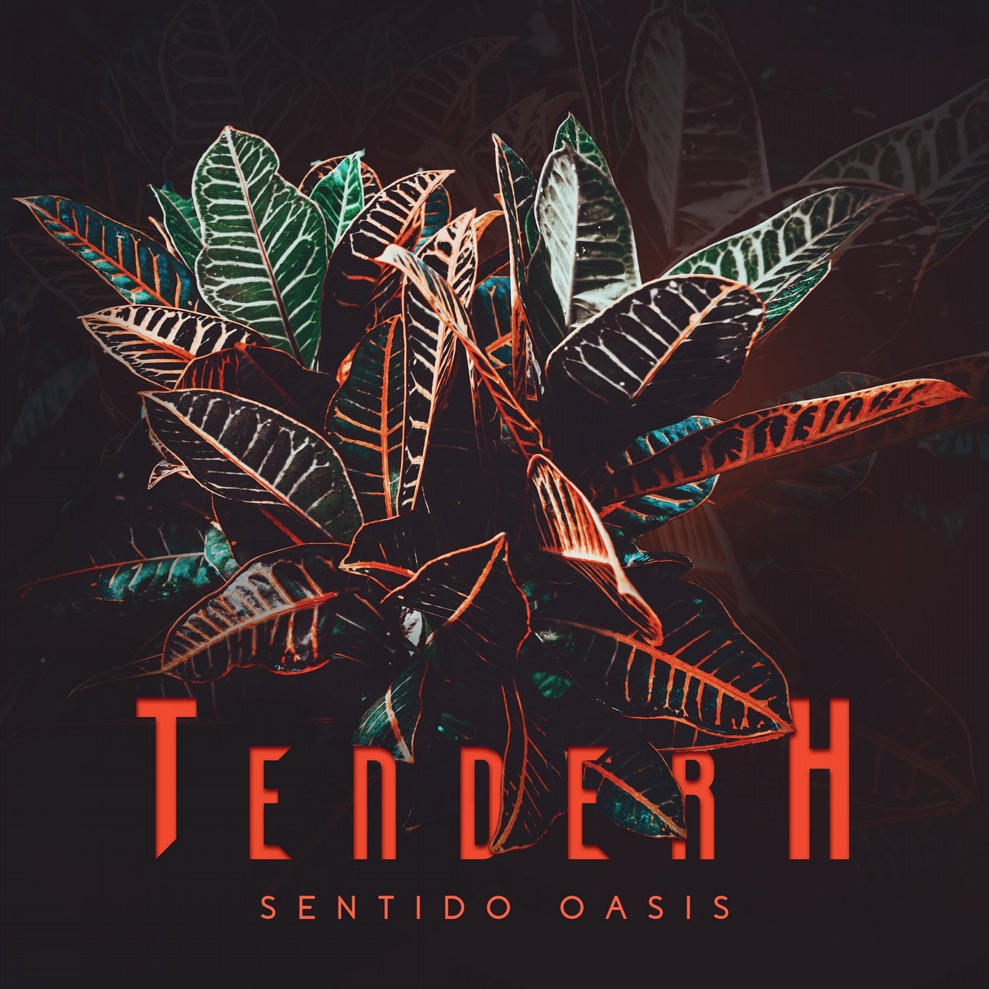 Sentido Oasis