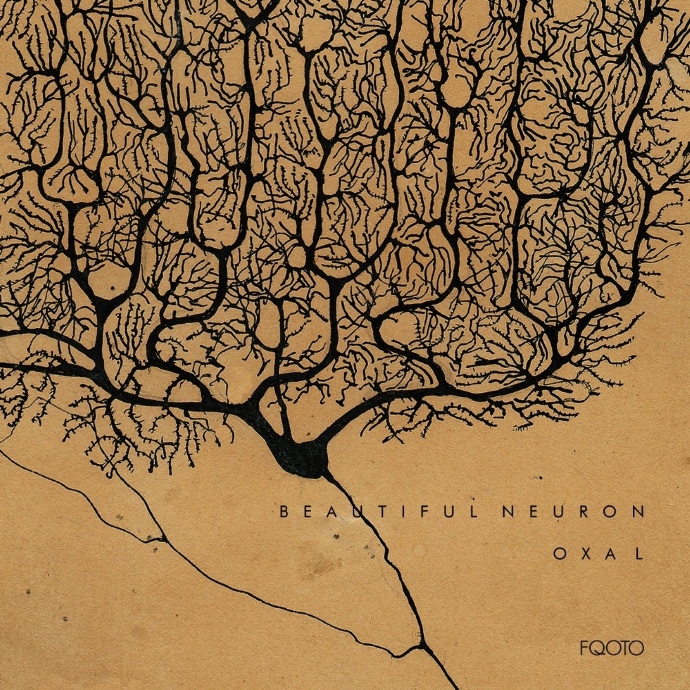 Beautiful Neuron