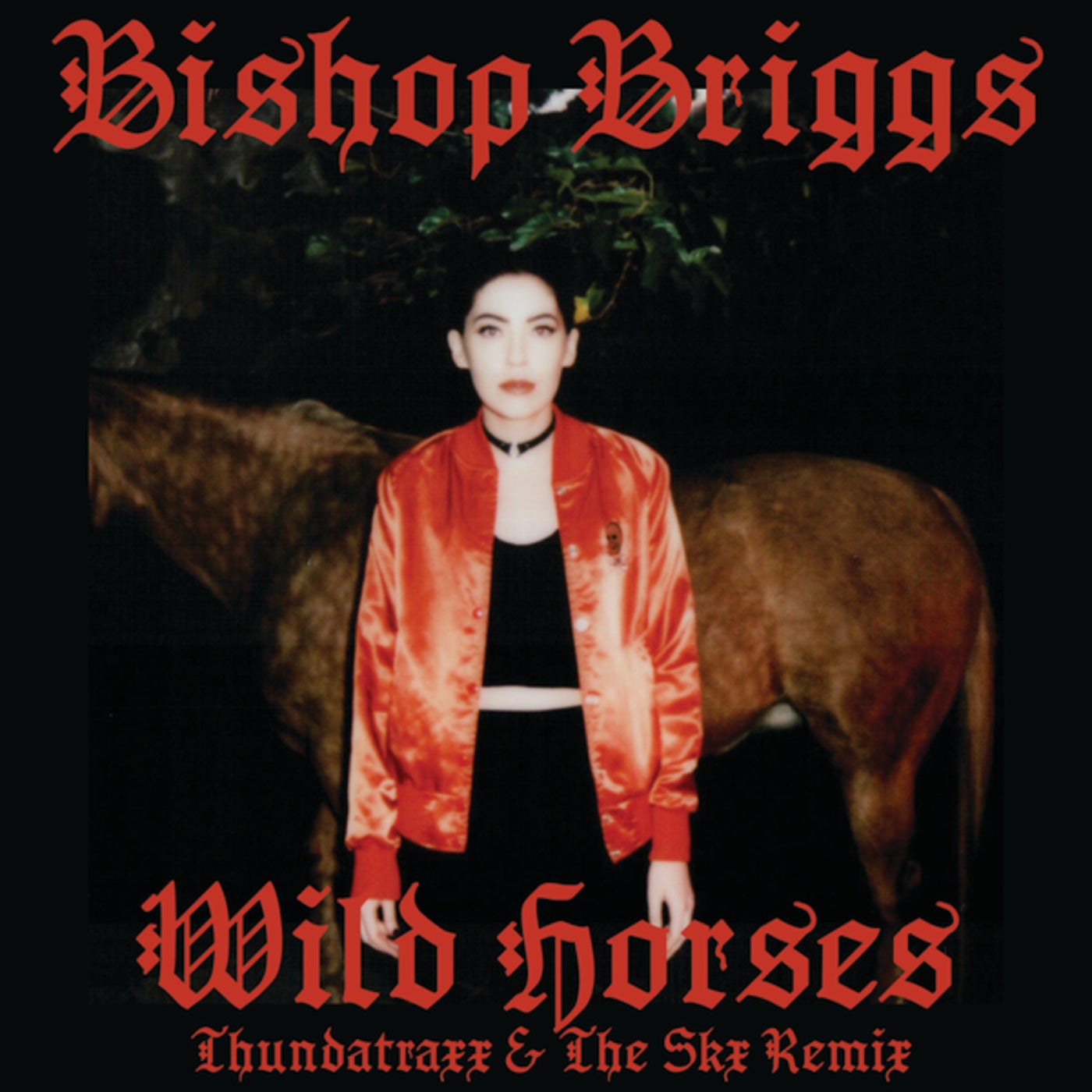 Песня wild horses. Bishop Briggs. Bishop Briggs - Wild Horses. Bishop Briggs Bishop Briggs. Bishop Briggs Wild Horses текст и перевод.