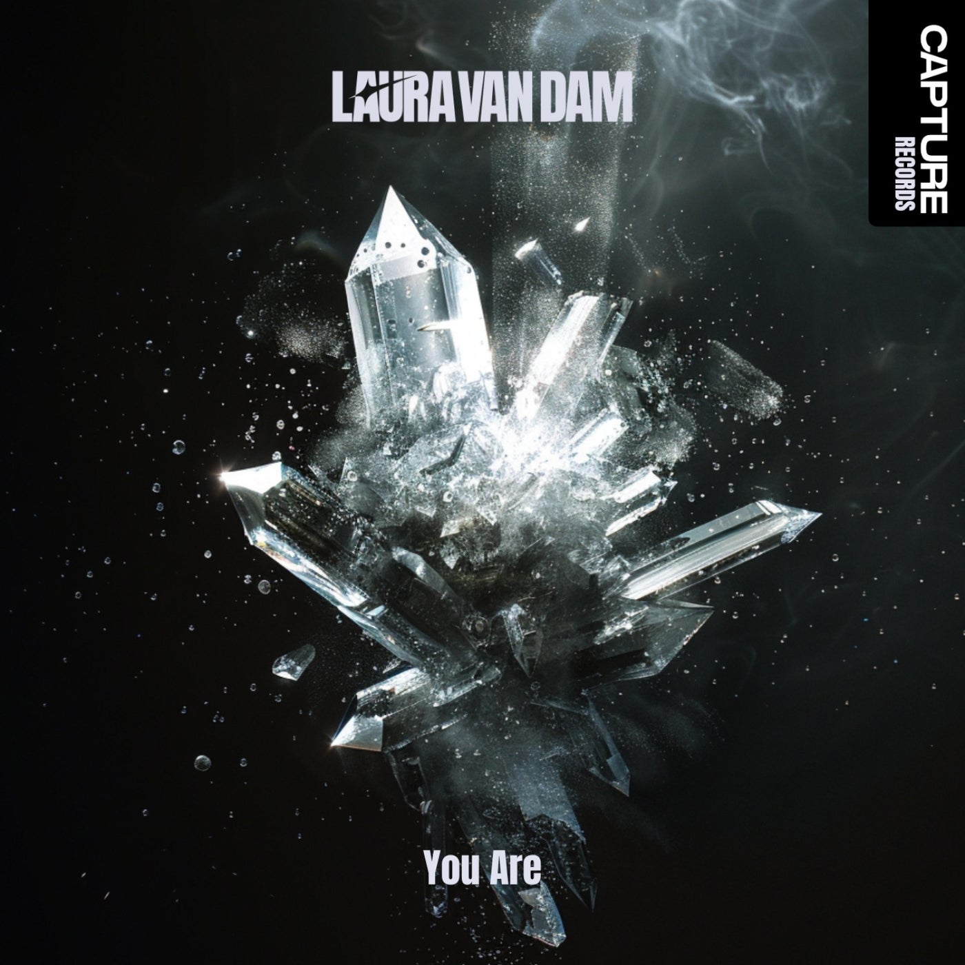 Laura van Dam Music & Downloads on Beatport