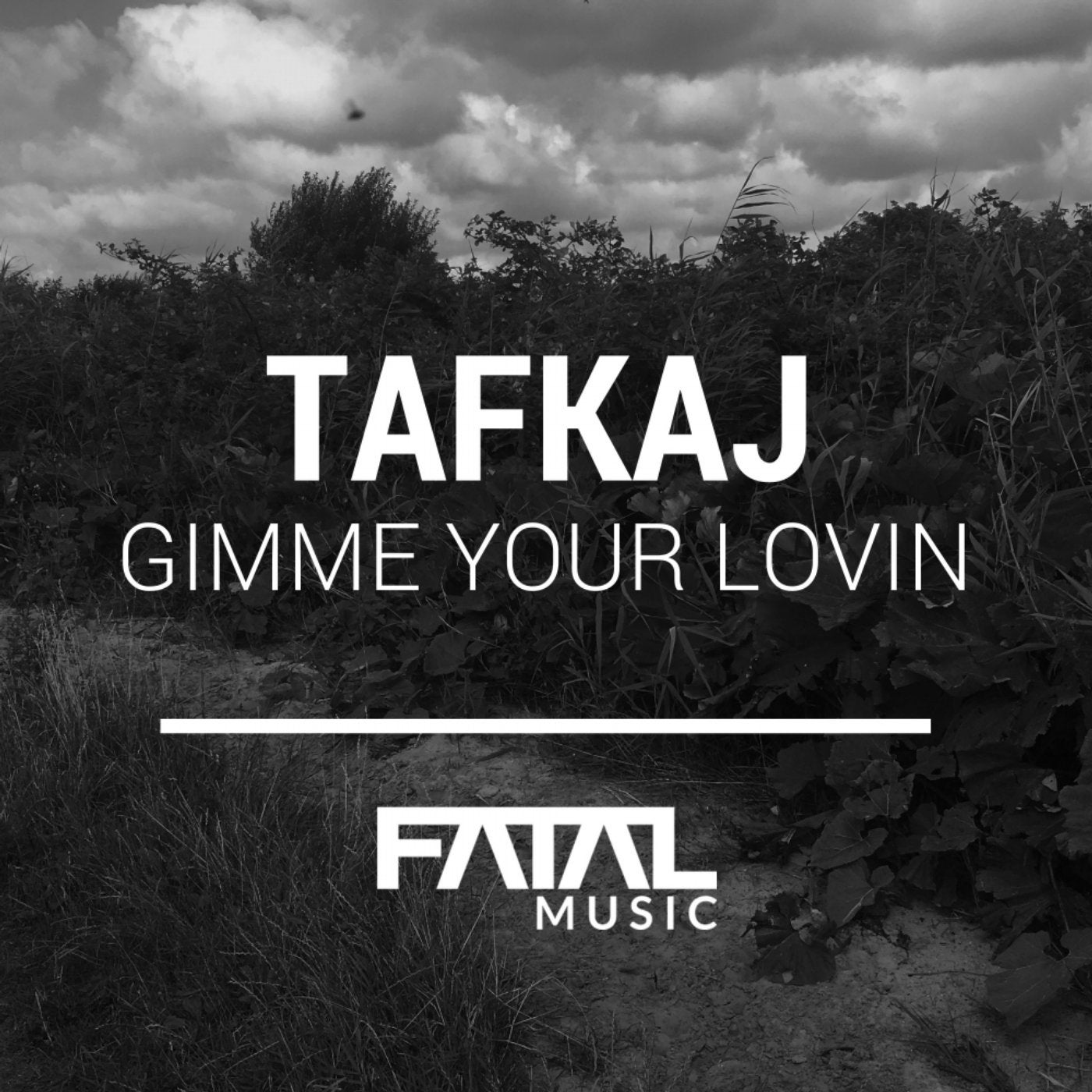 Gimme Your Lovin