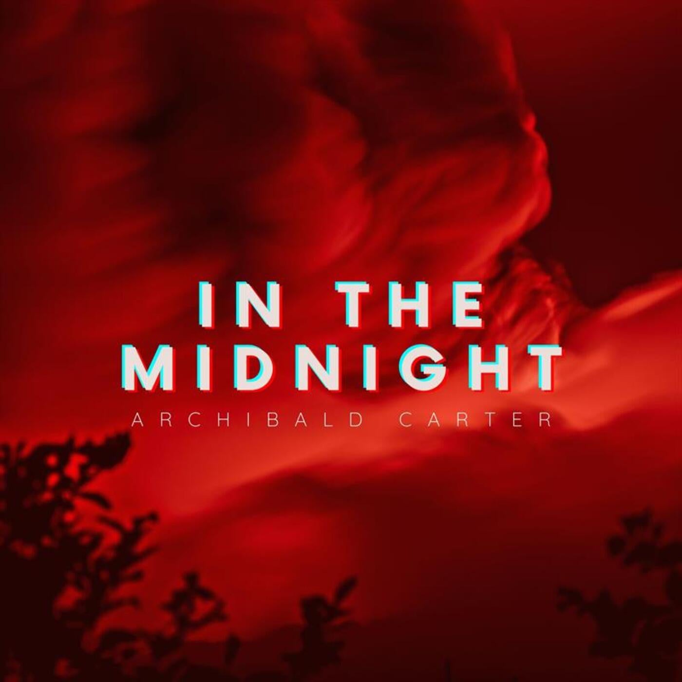 In the Midnight