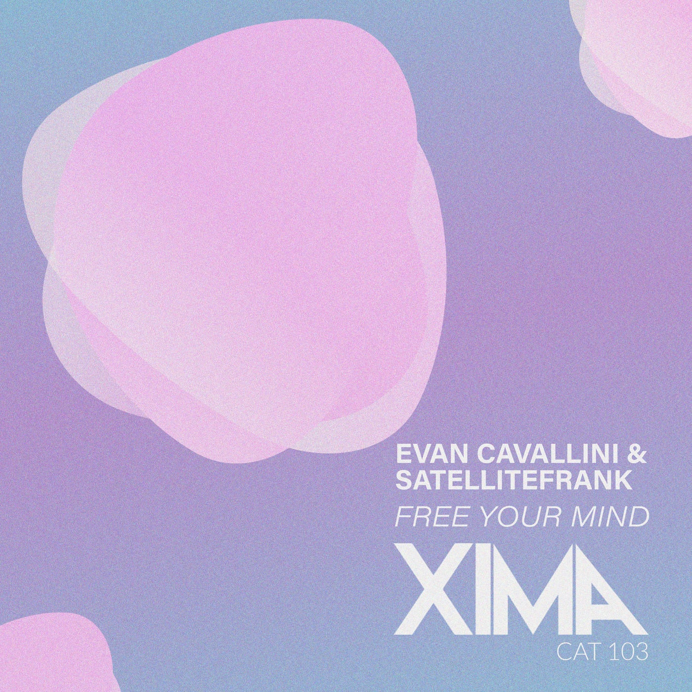 Free Your Mind