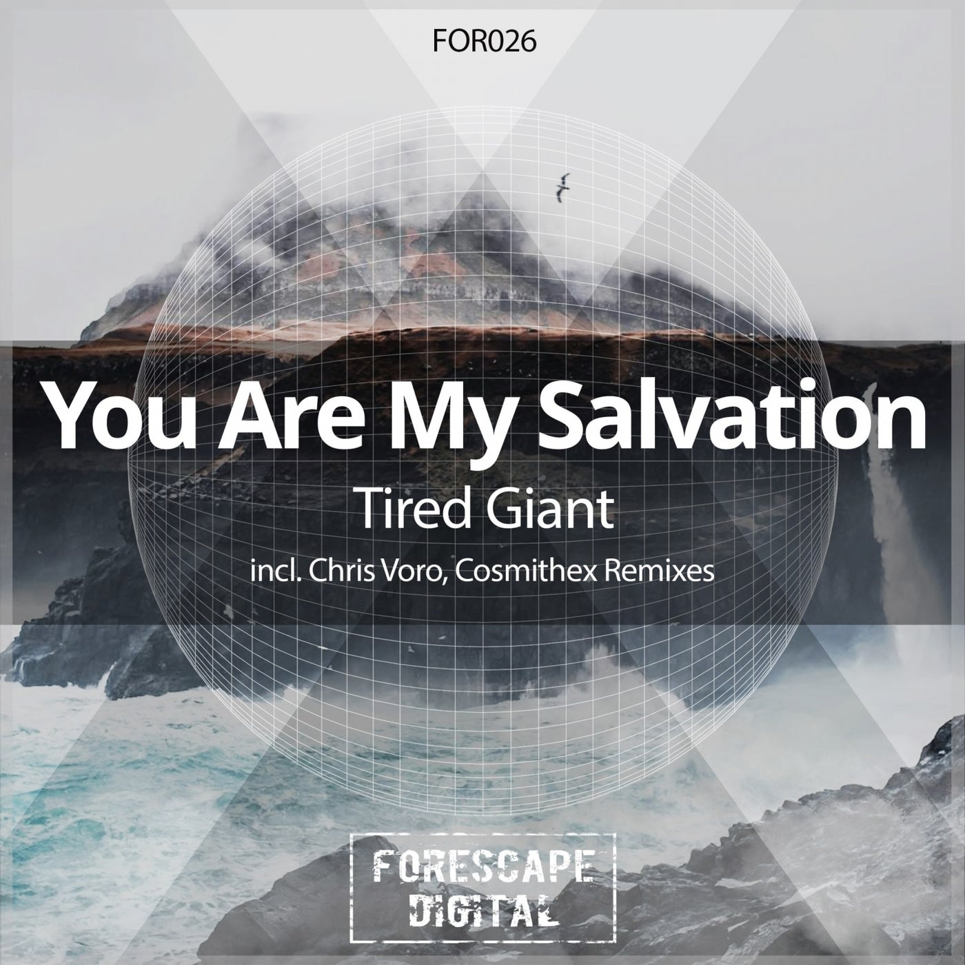 Tired Giant (Remixes)
