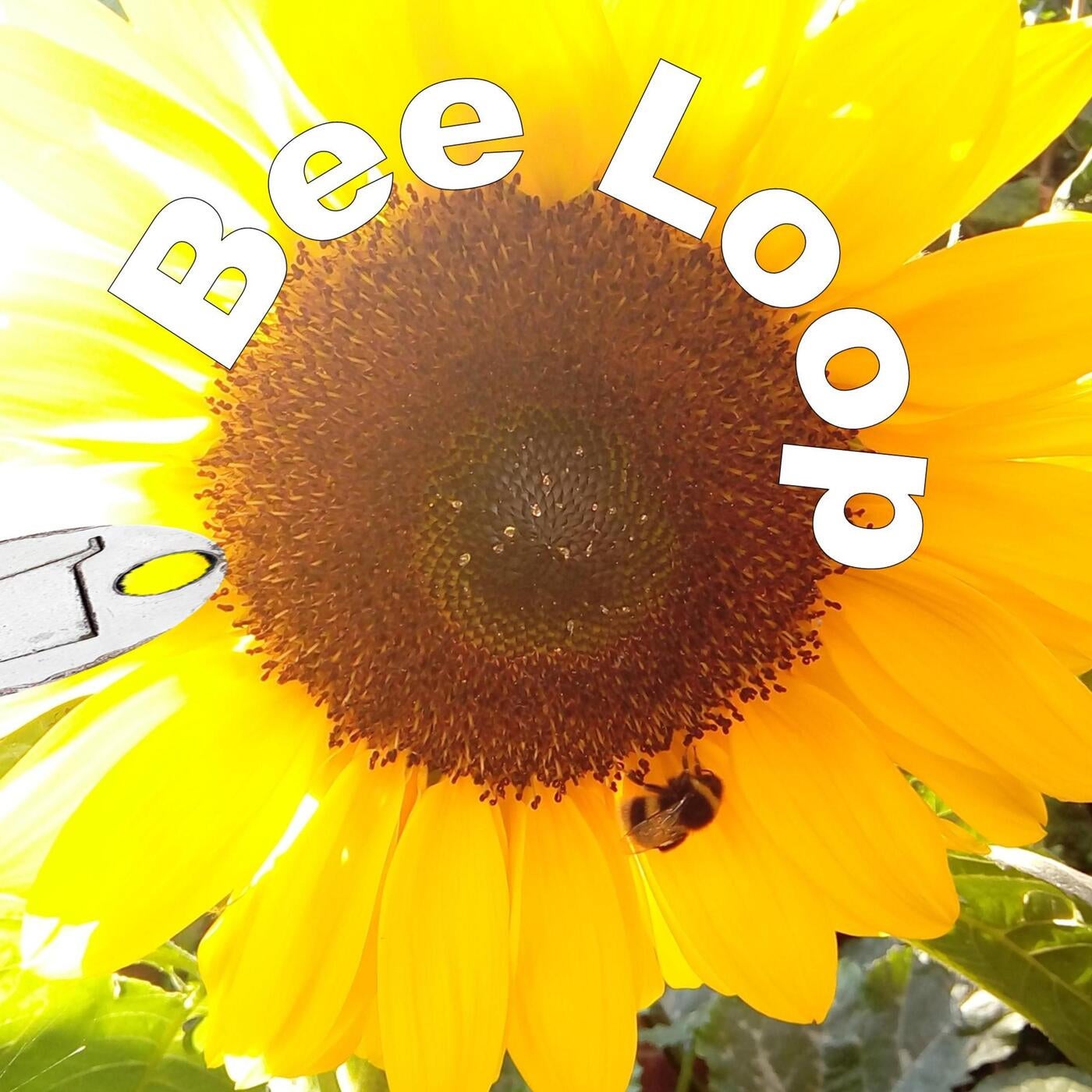 Bee Loop