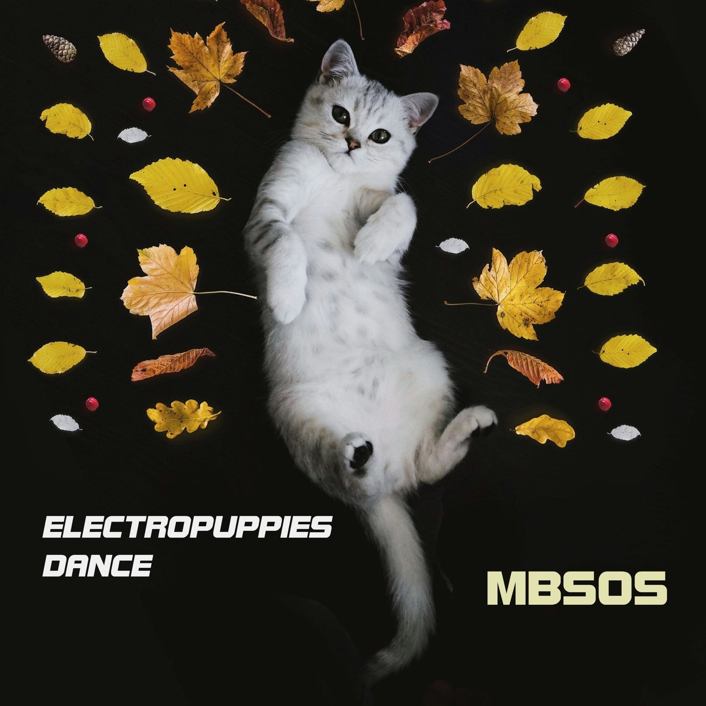 Electropuppies Dance