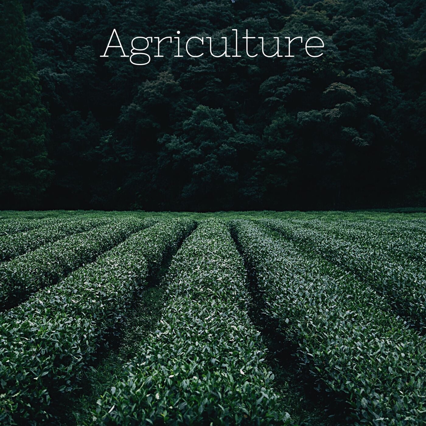 Agriculture