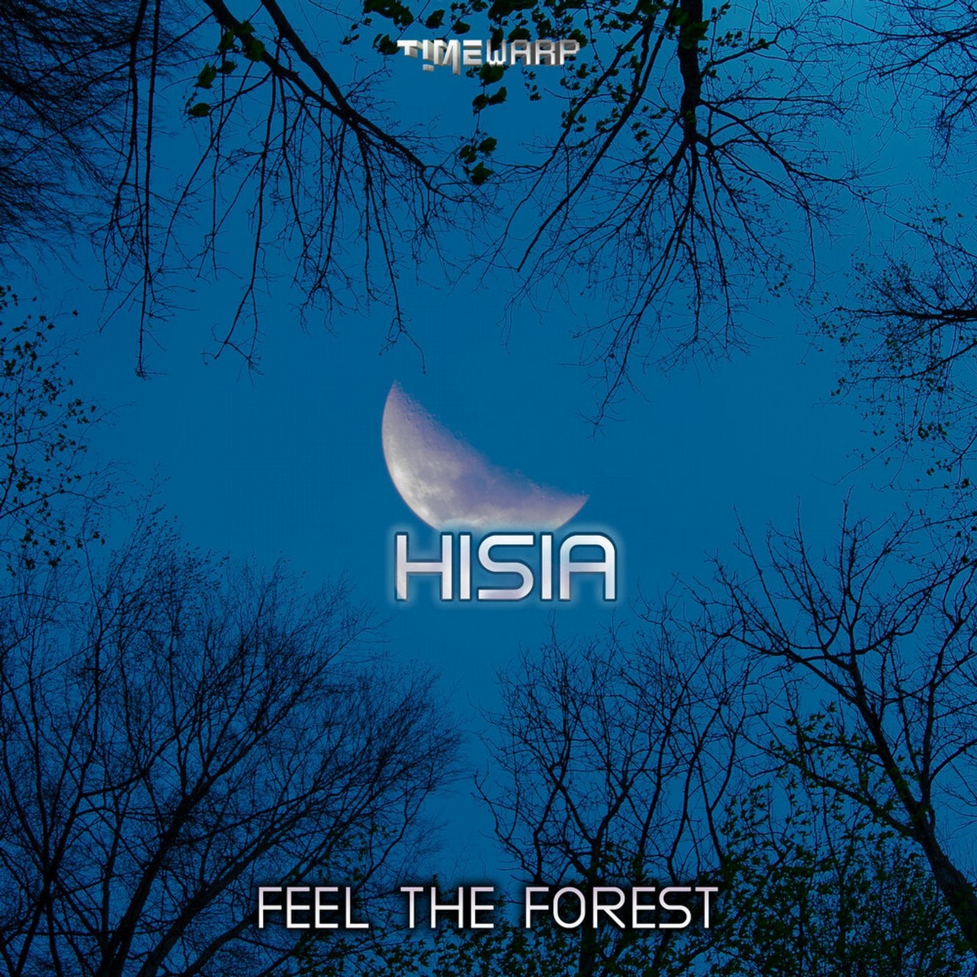 Feel The Forest