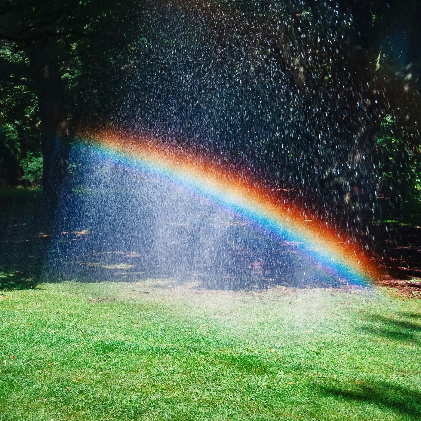 Miracle