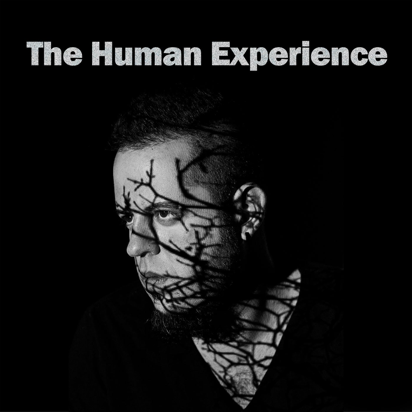 Cover art for The Human Experience