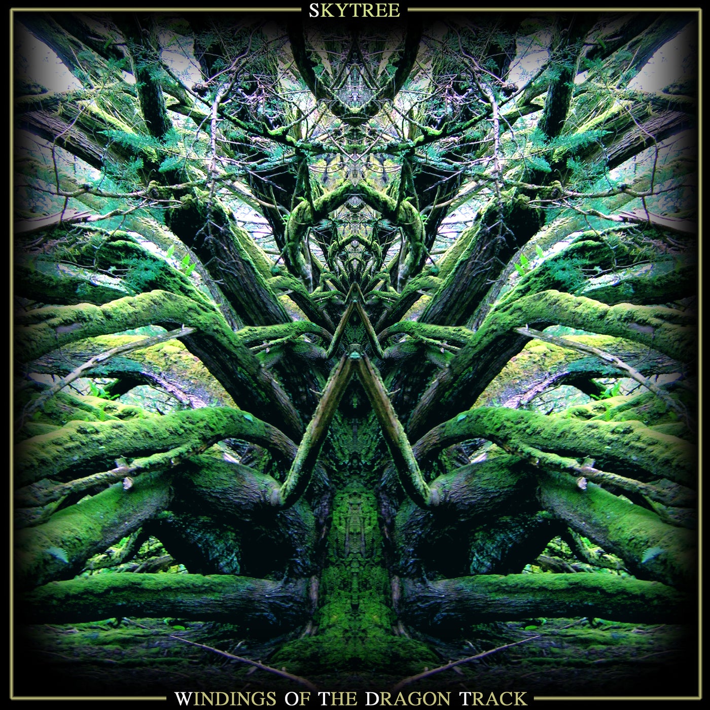 Windings of The Dragon Track