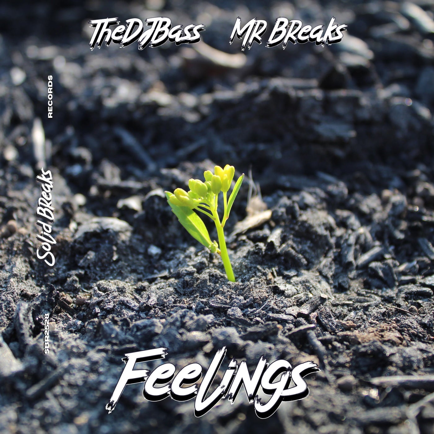 Feelings