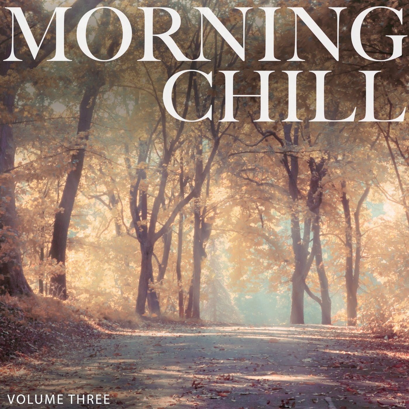 Morning Chill, Vol. 3 (Fantastic Selection Of Smooth Electronic Background Music)