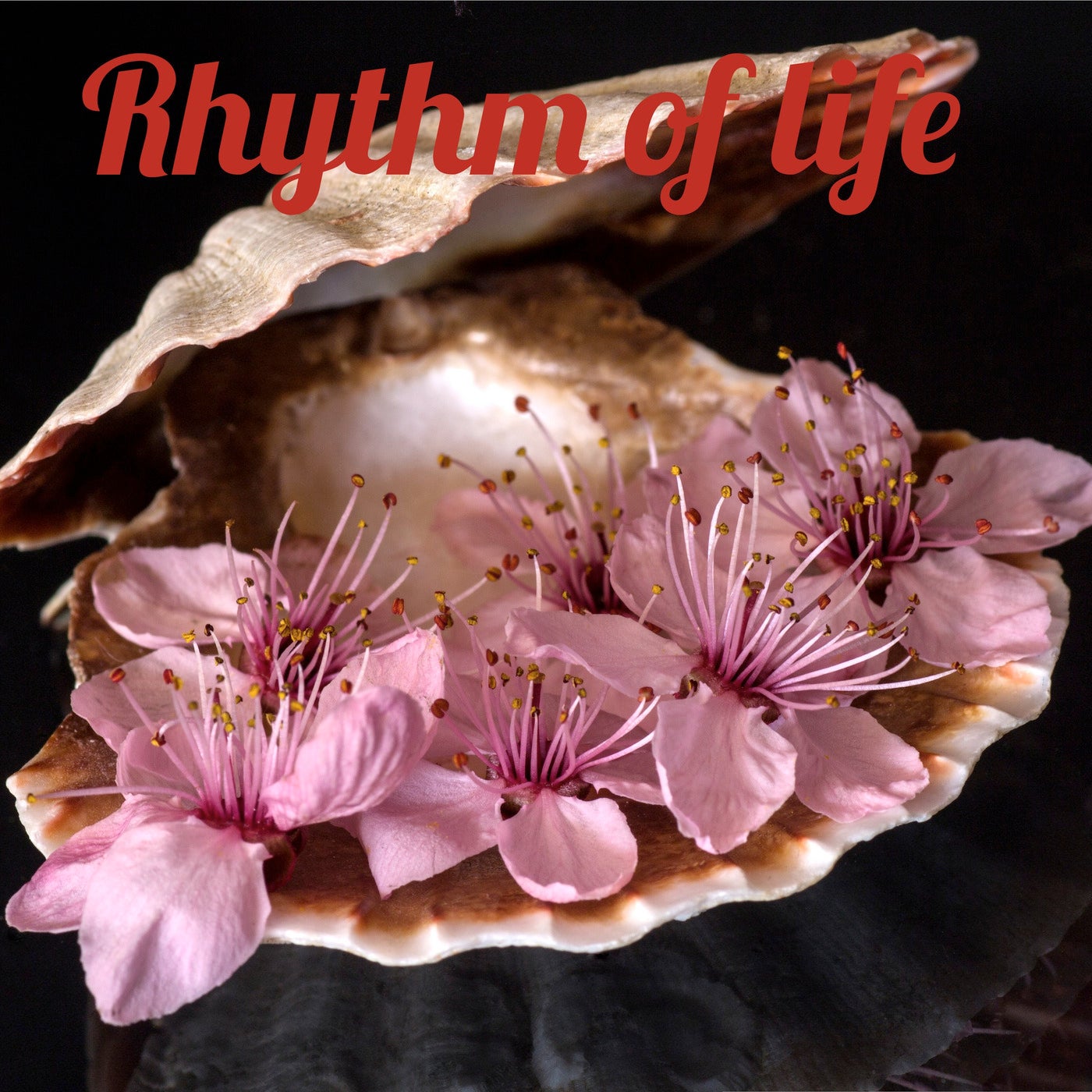 Rhythm of Life