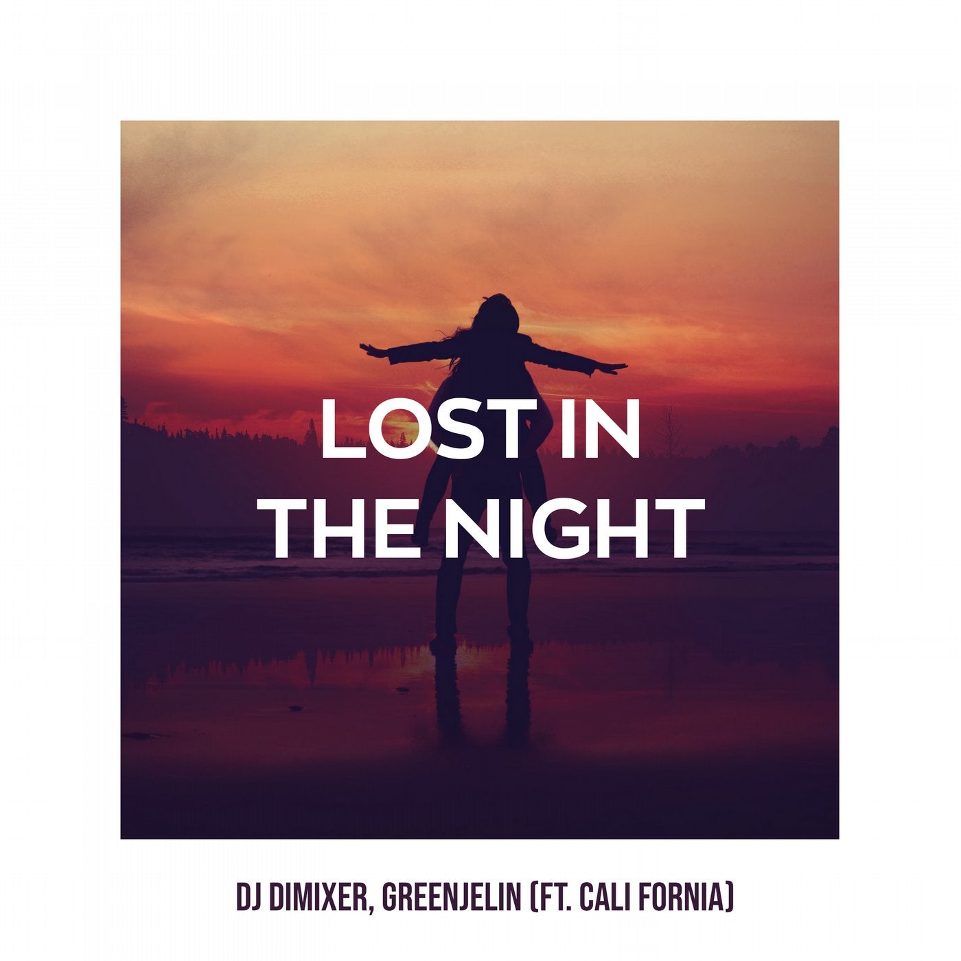 Lost in the Night (feat. Cali Fornia)