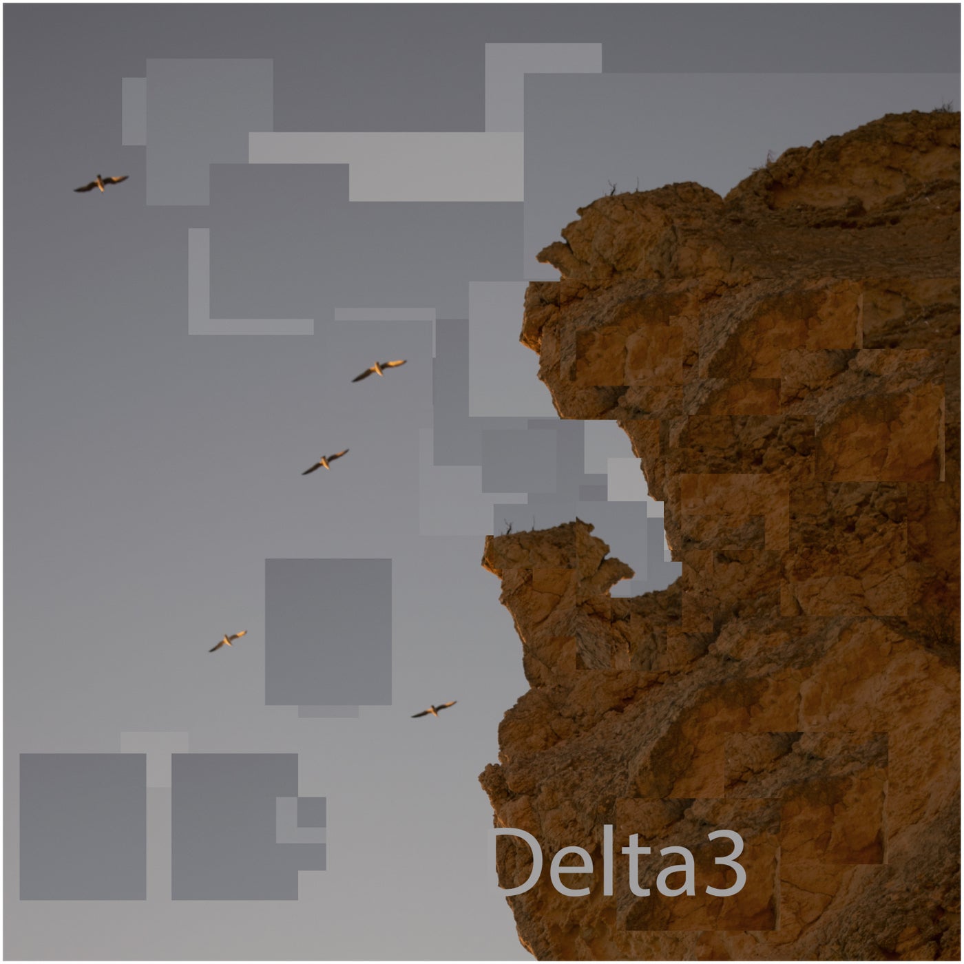 Delta3