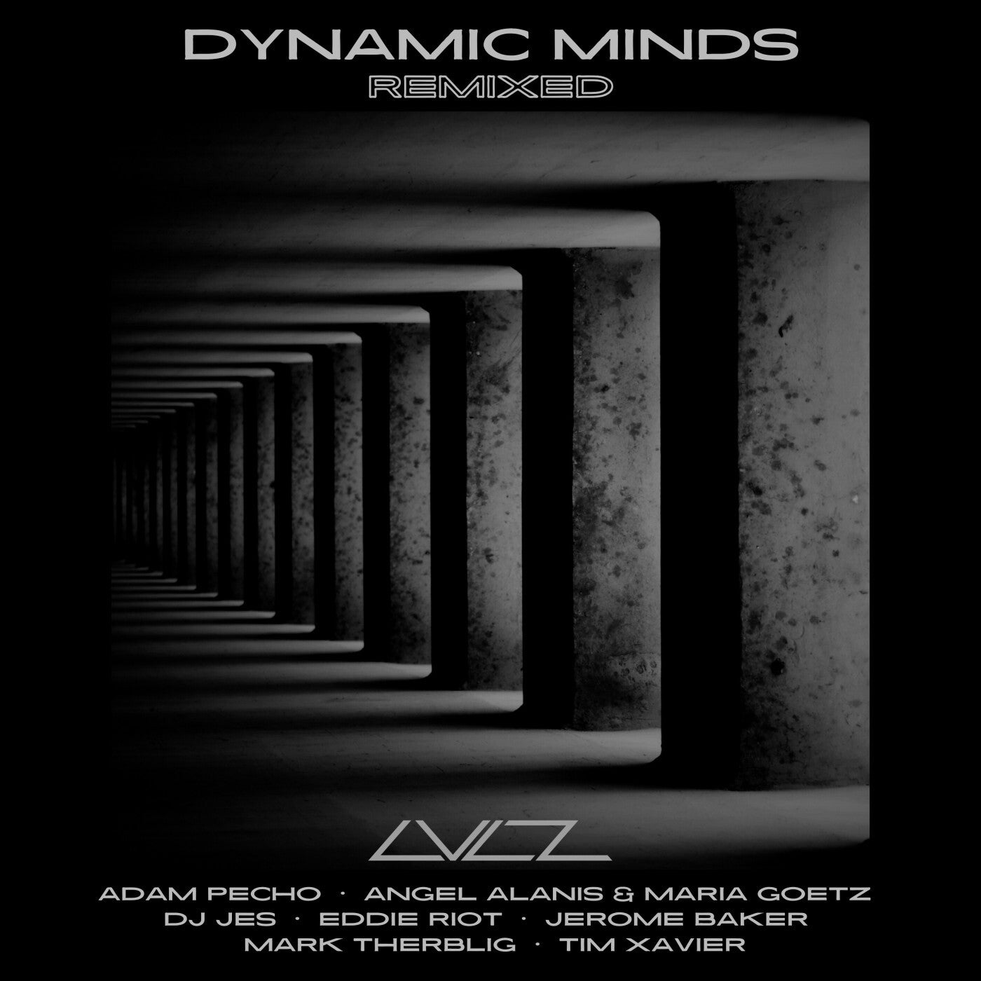 Dynamic Minds Remixed
