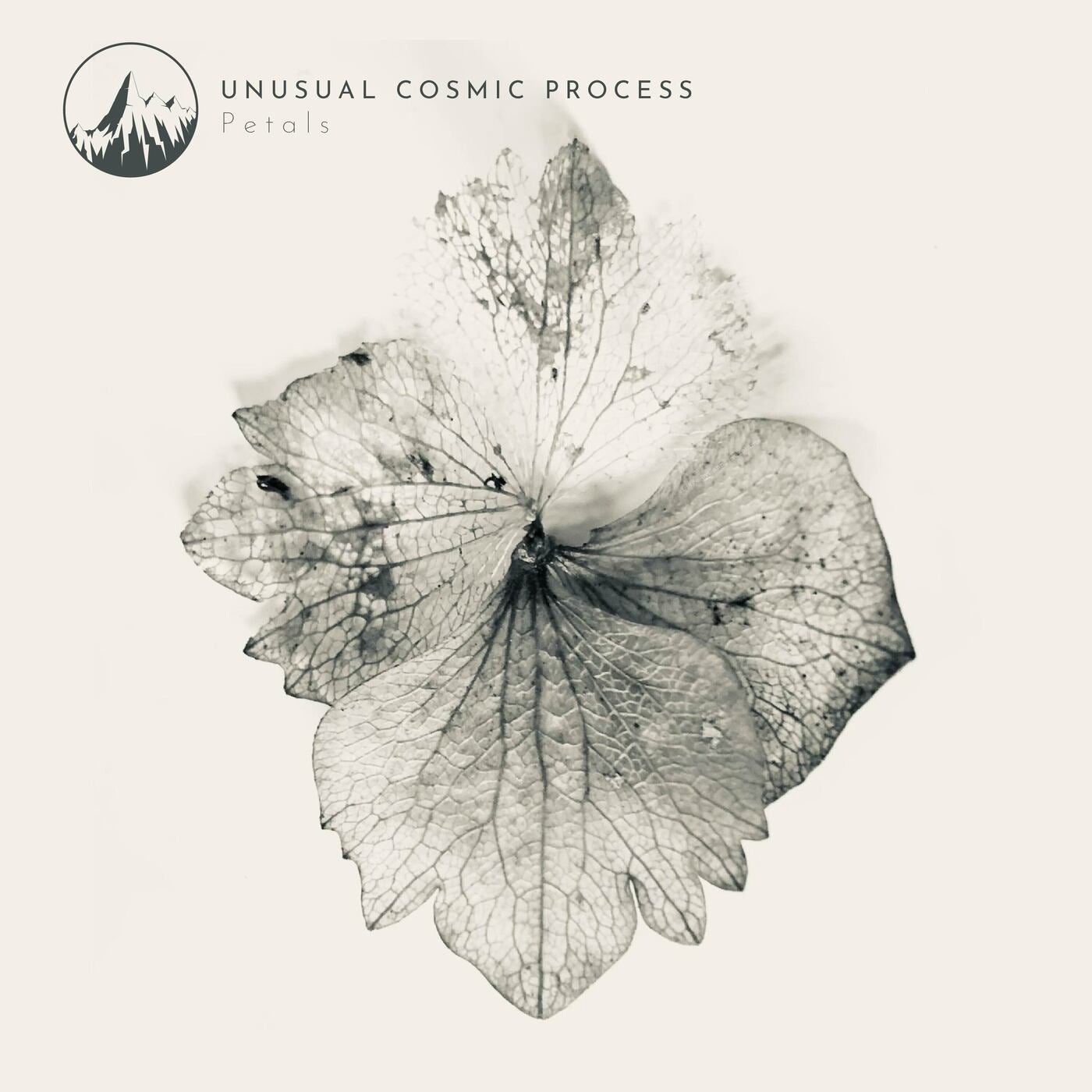 Petals