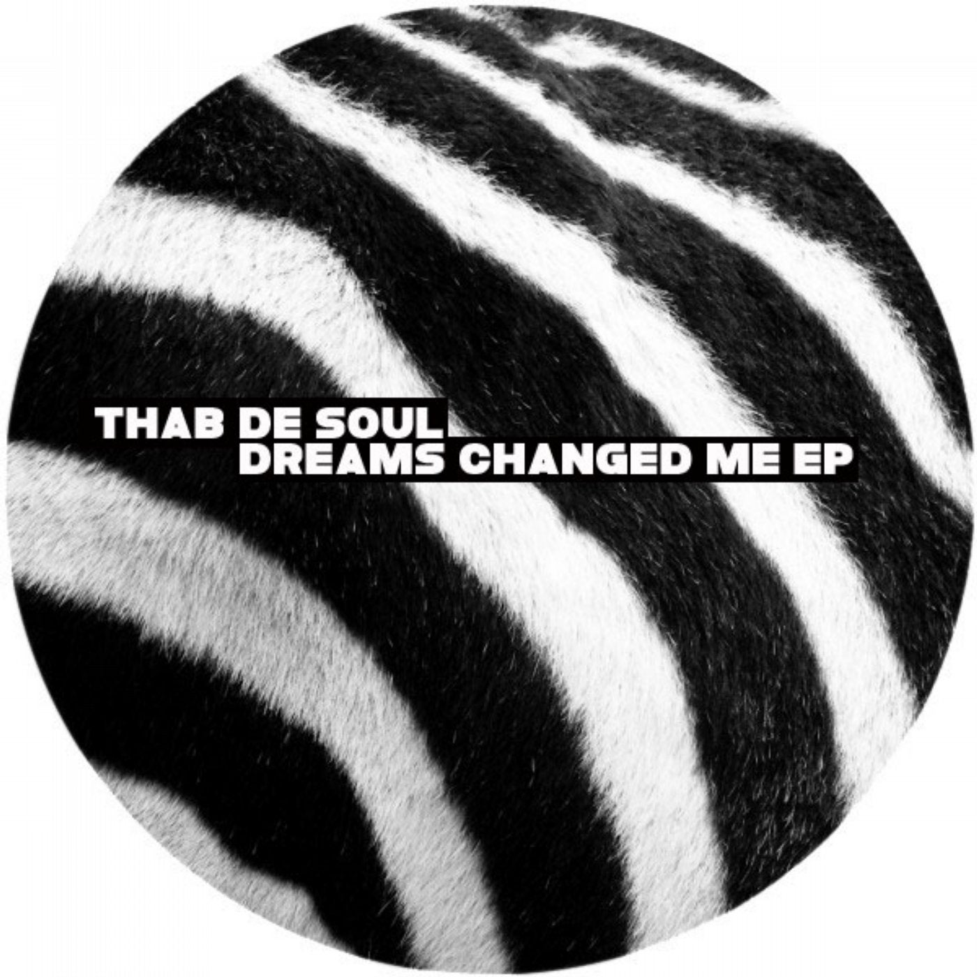 Dreams Changed Me EP