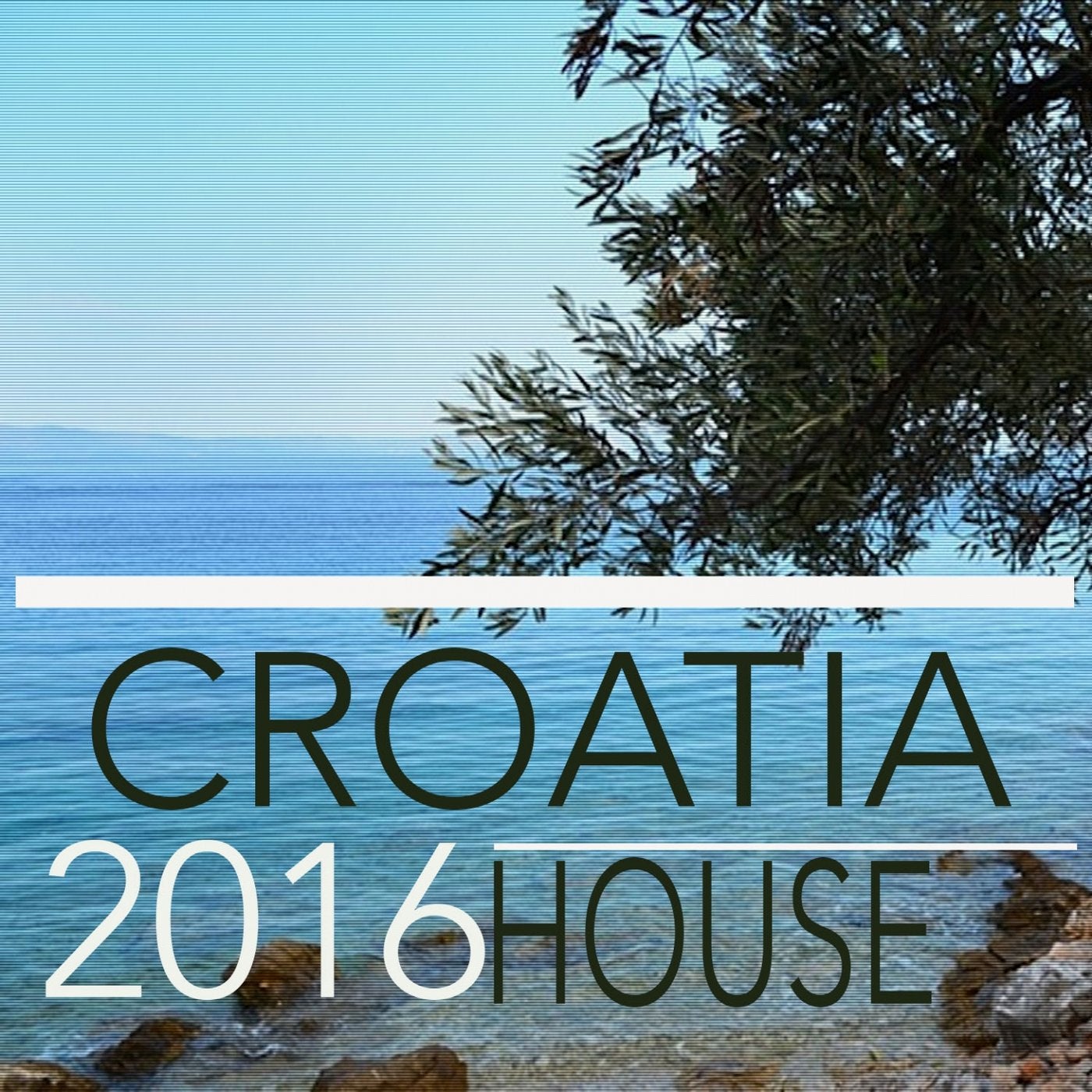 Croatia 2016 House
