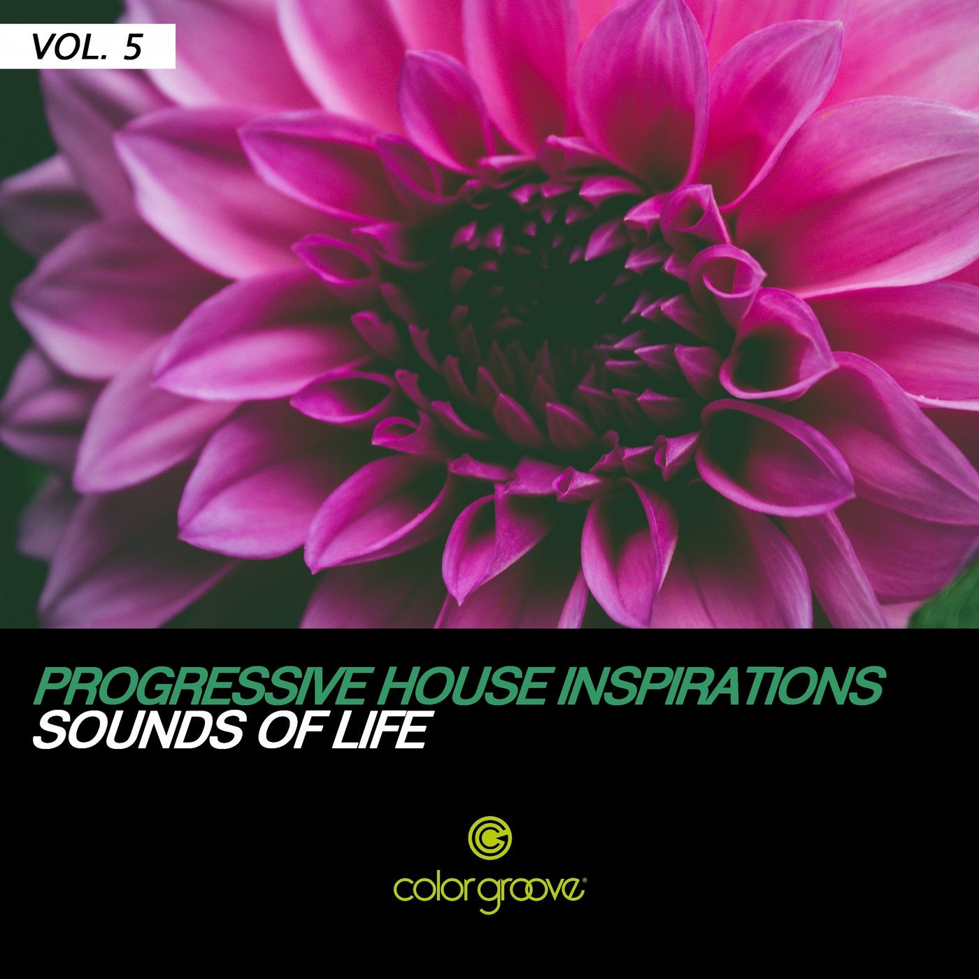 Progressive House Inspirations, Vol. 5 (Sounds Of Life)