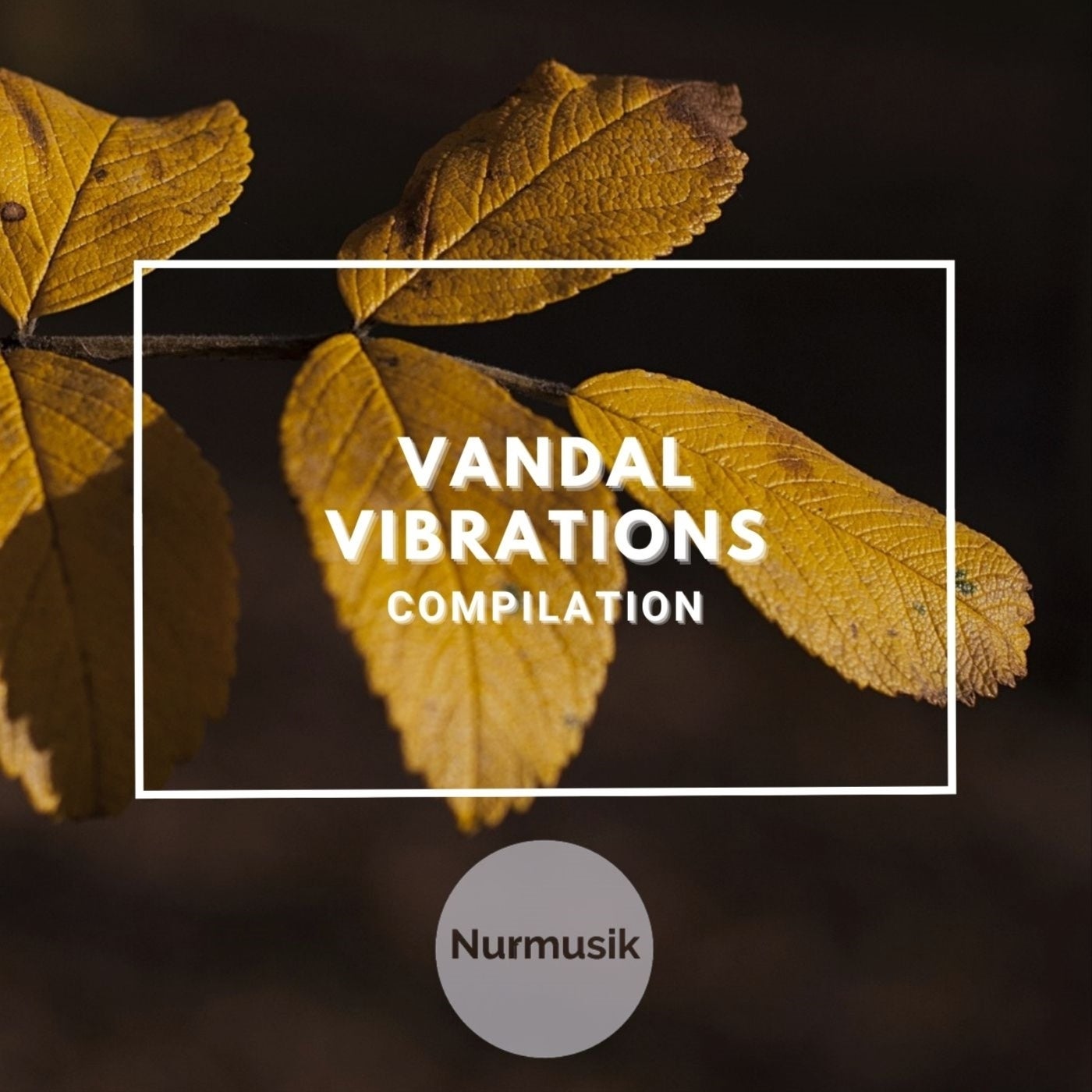 Vandal Vibrations