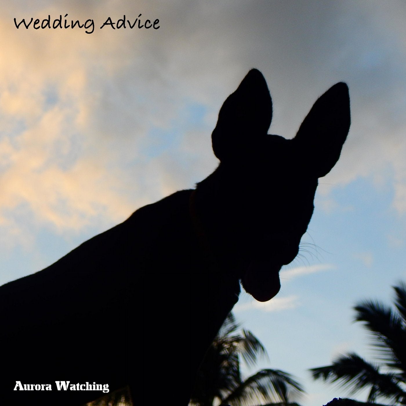 Wedding Advice