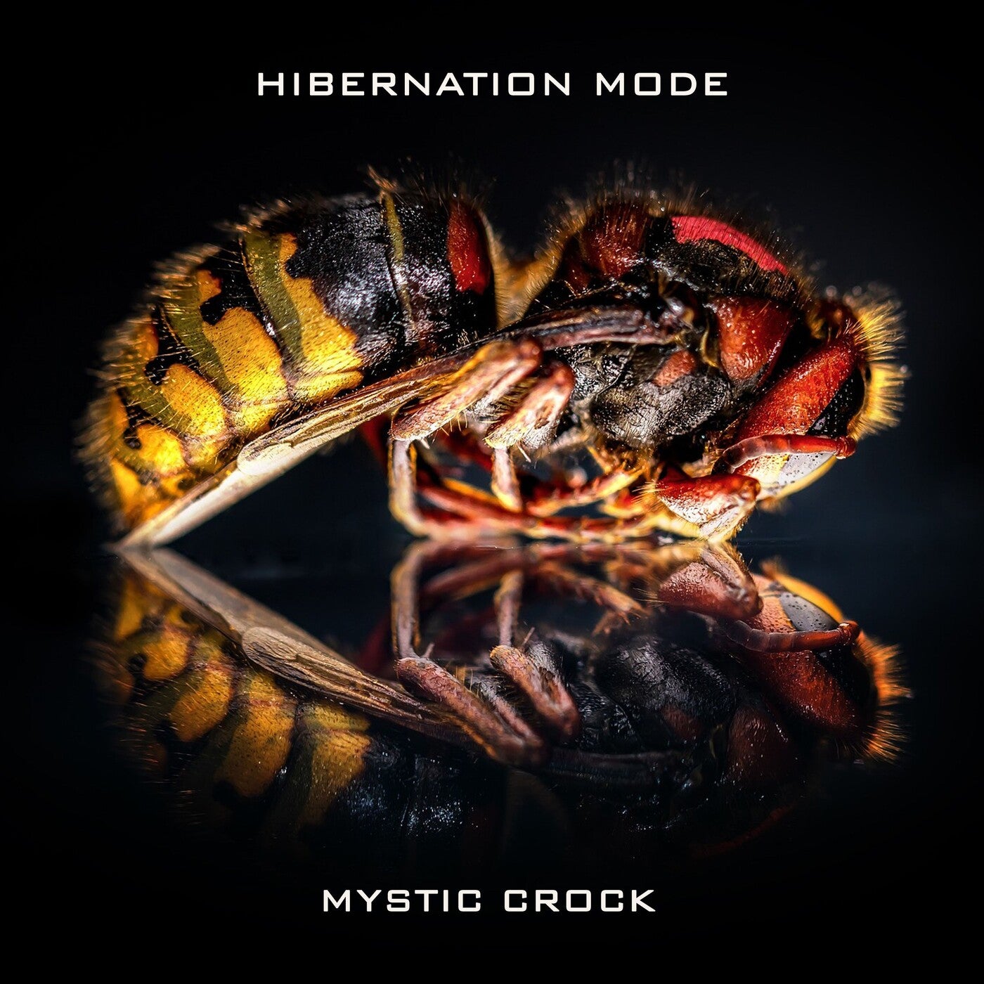 Hibernation Mode