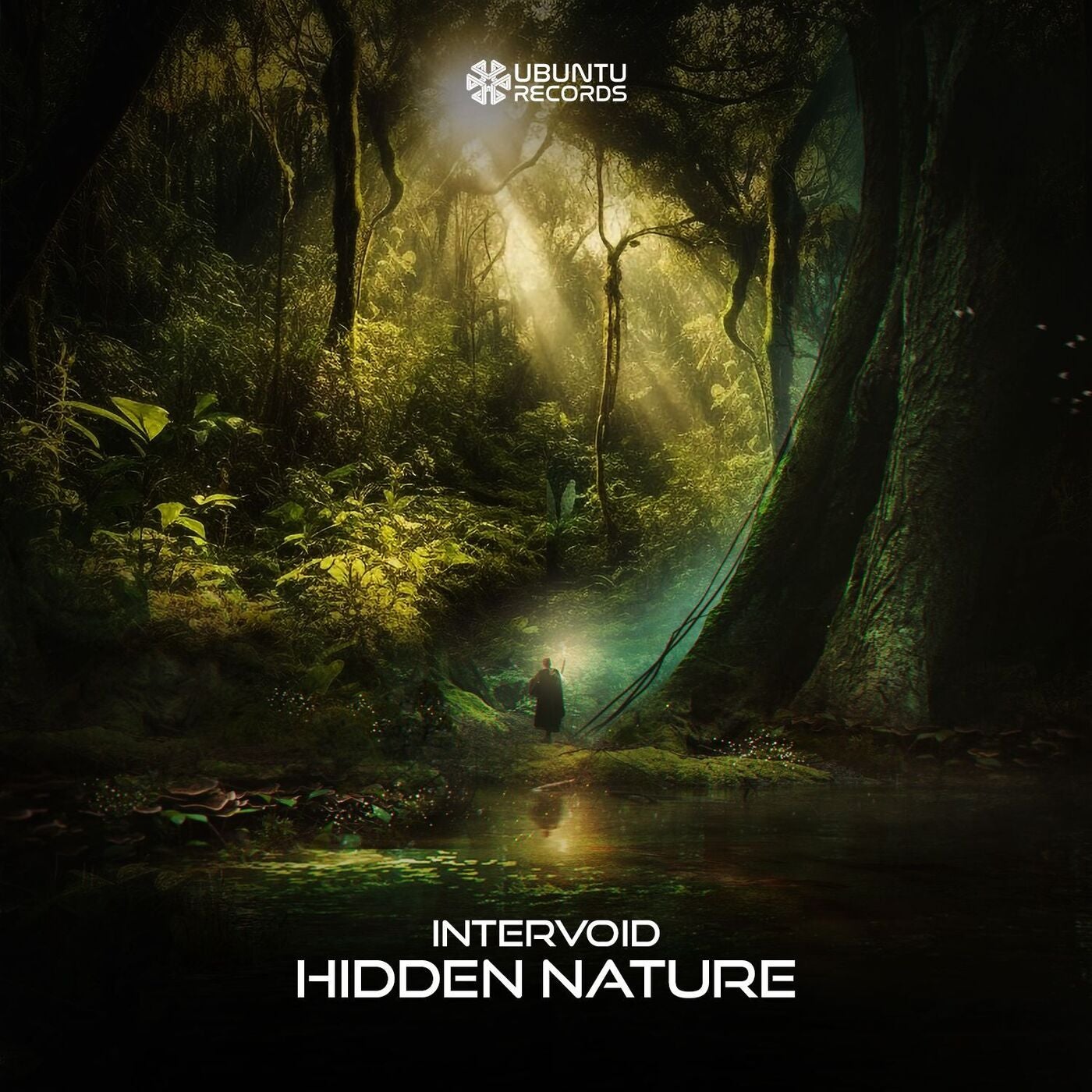 Hidden Nature