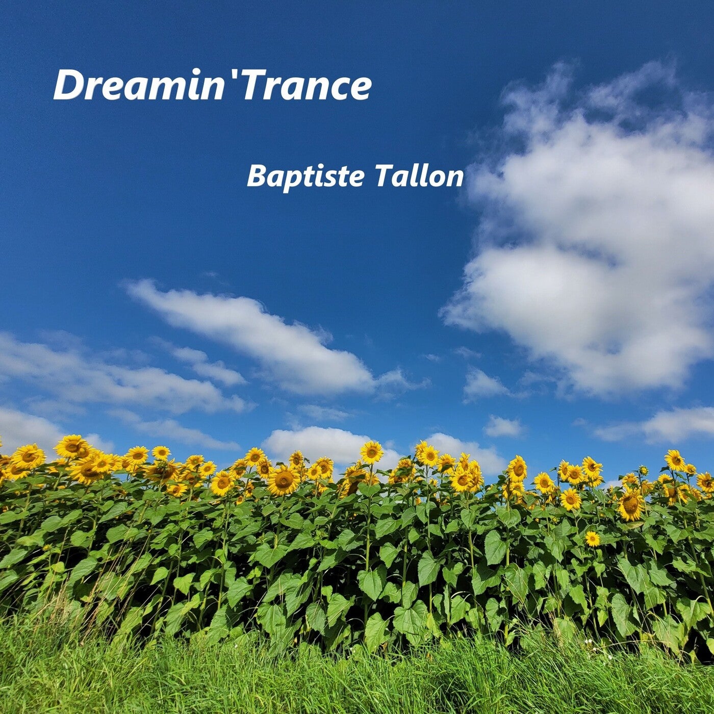 Dreamin' Trance (Radio Edit)